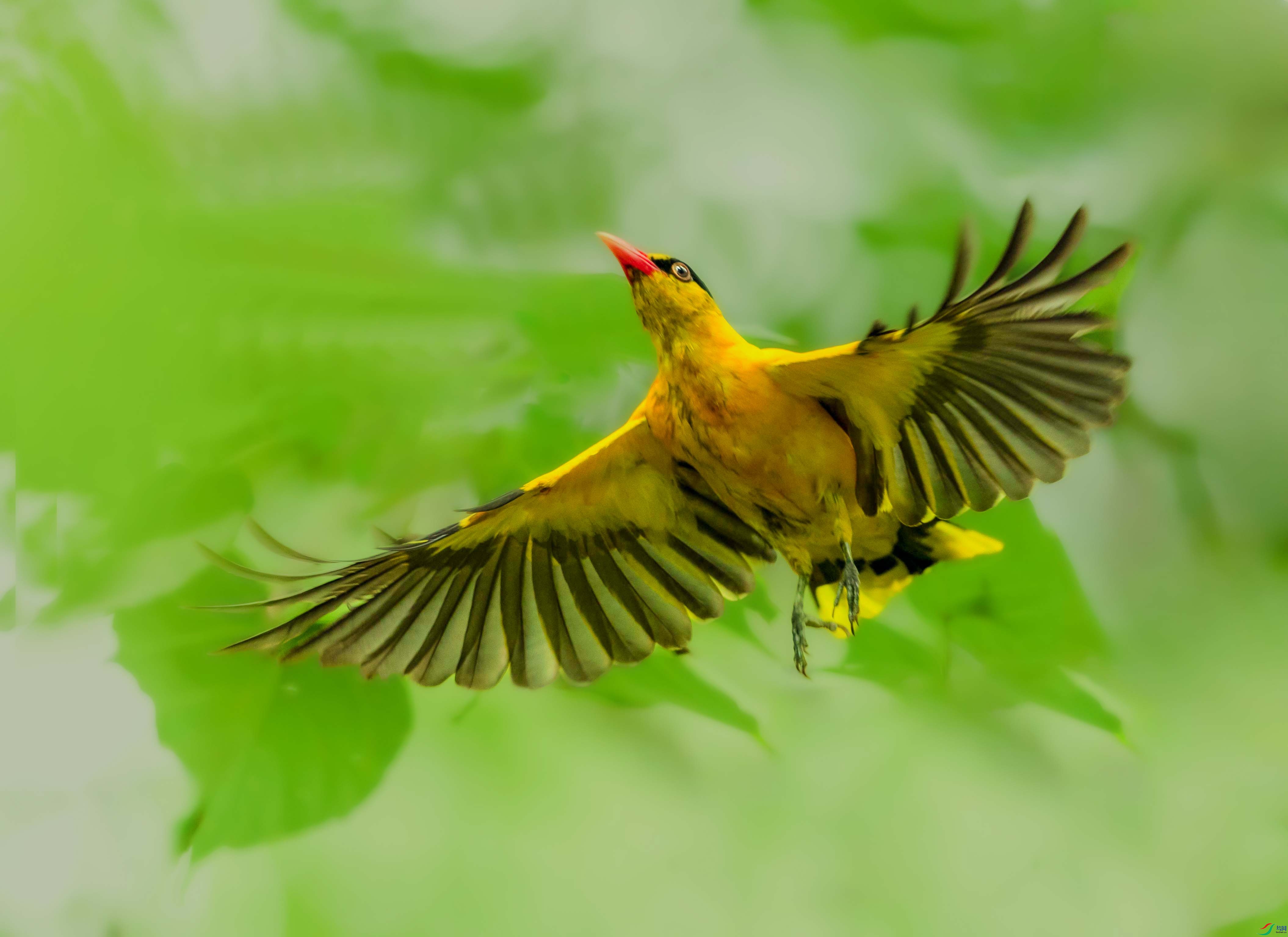 0N6A7410 ���� 2.jpg