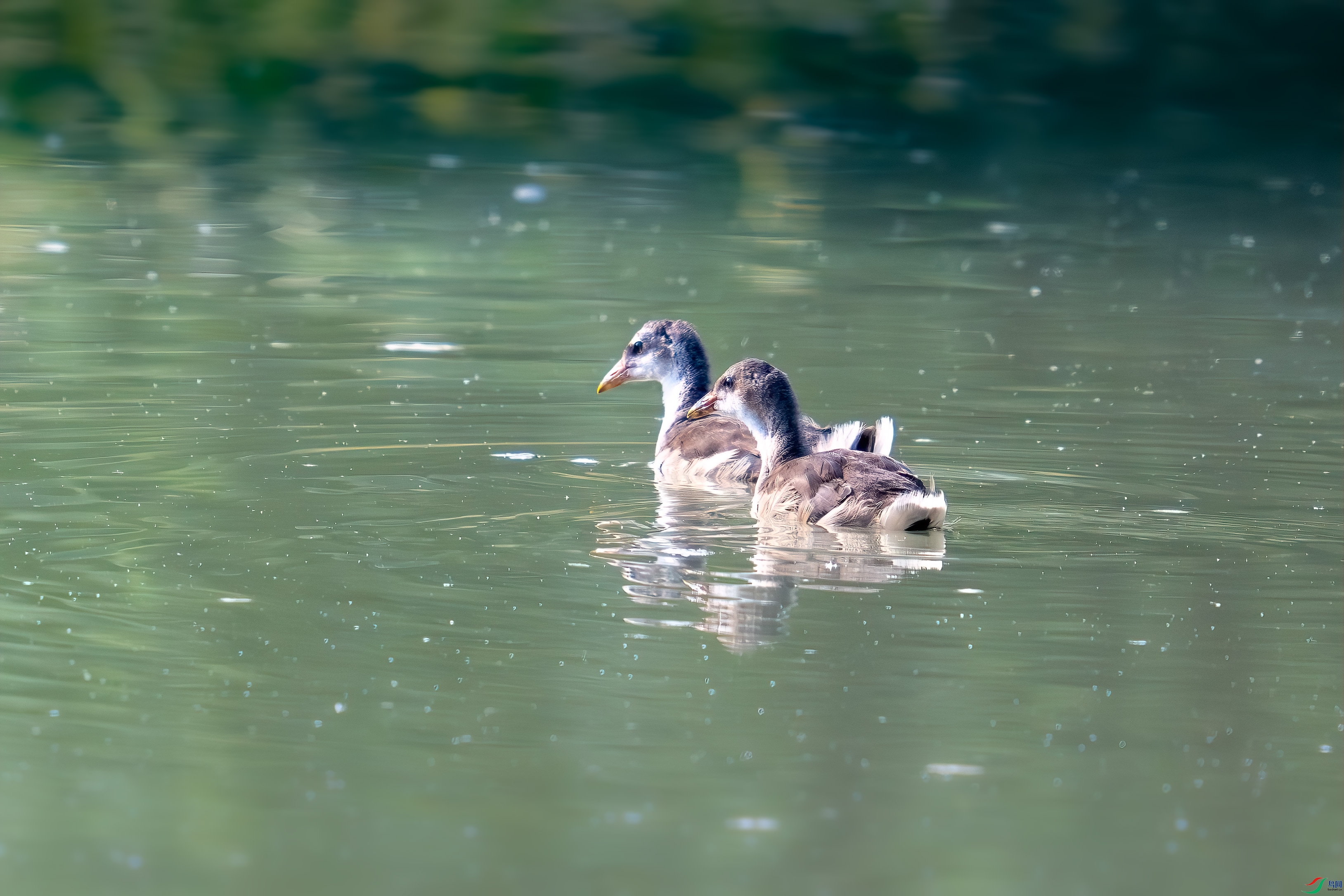 _DSC3490.jpg