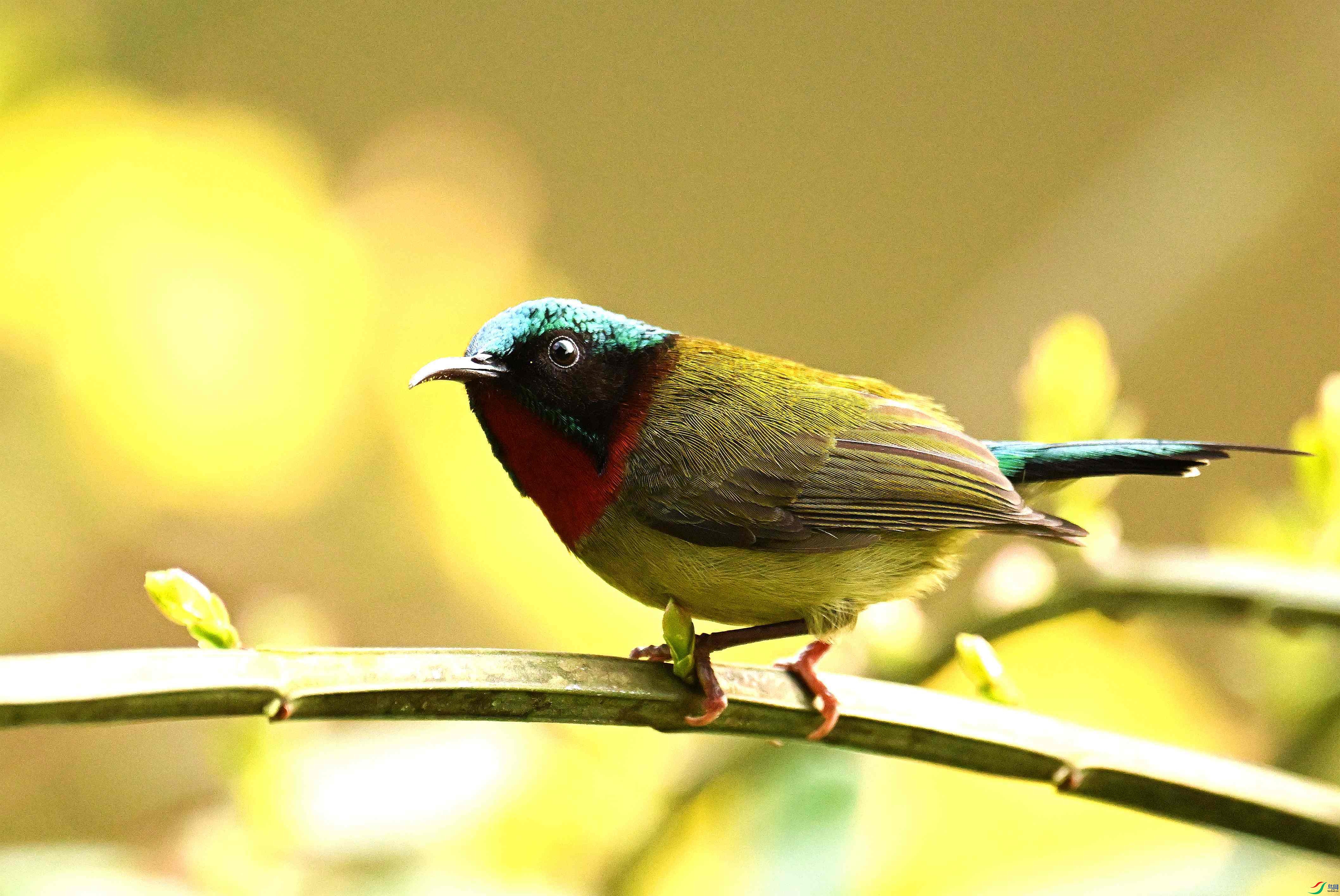 DSC_8644.jpg