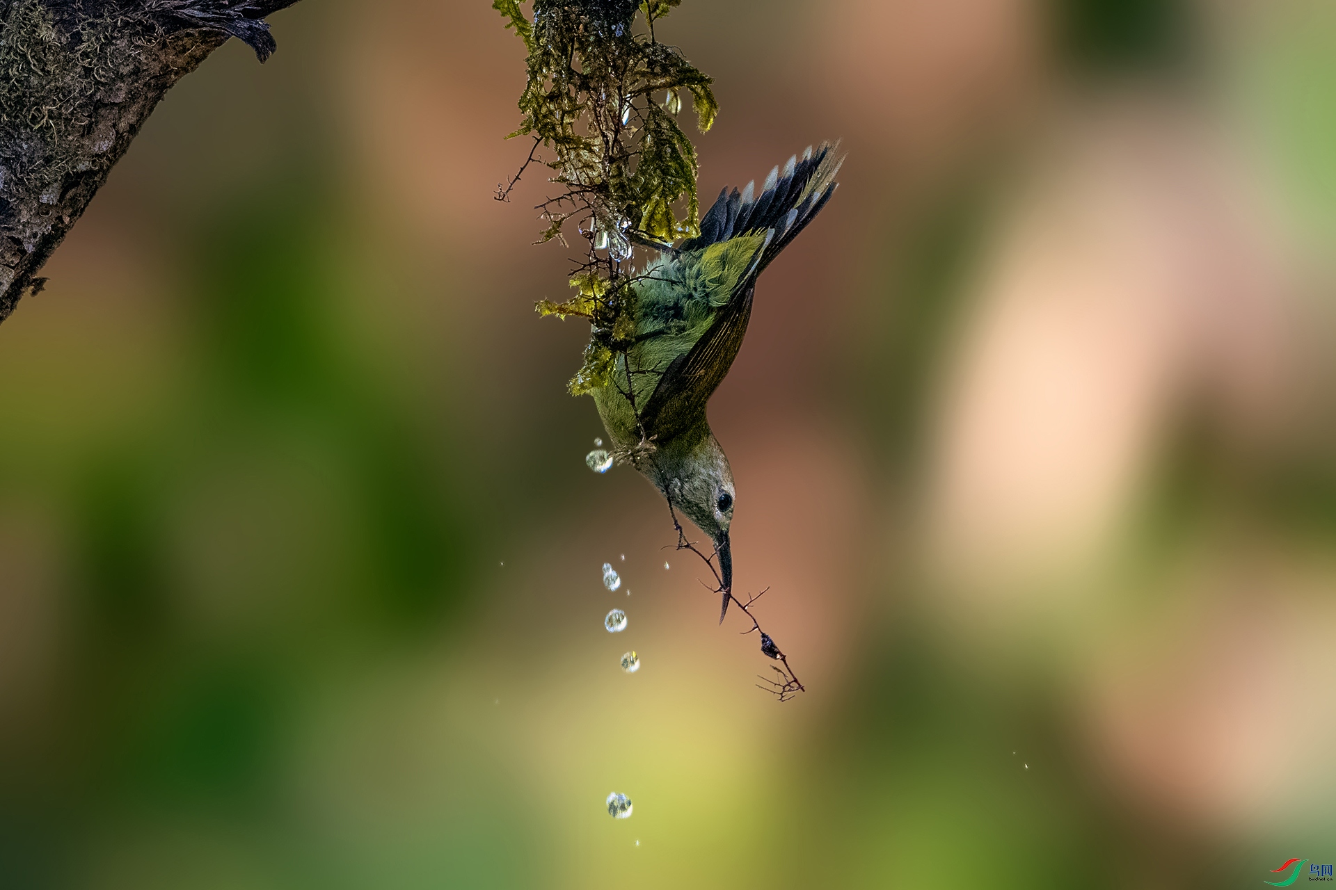 _AUU4564�̺�̫����(24.2.17).jpg