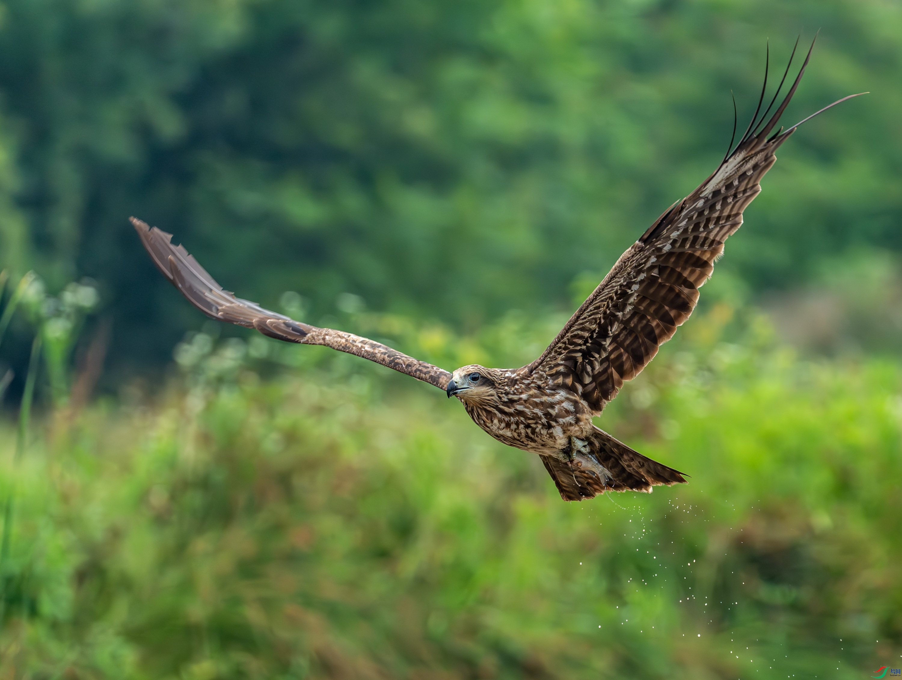 ��� (253 - 253).jpg