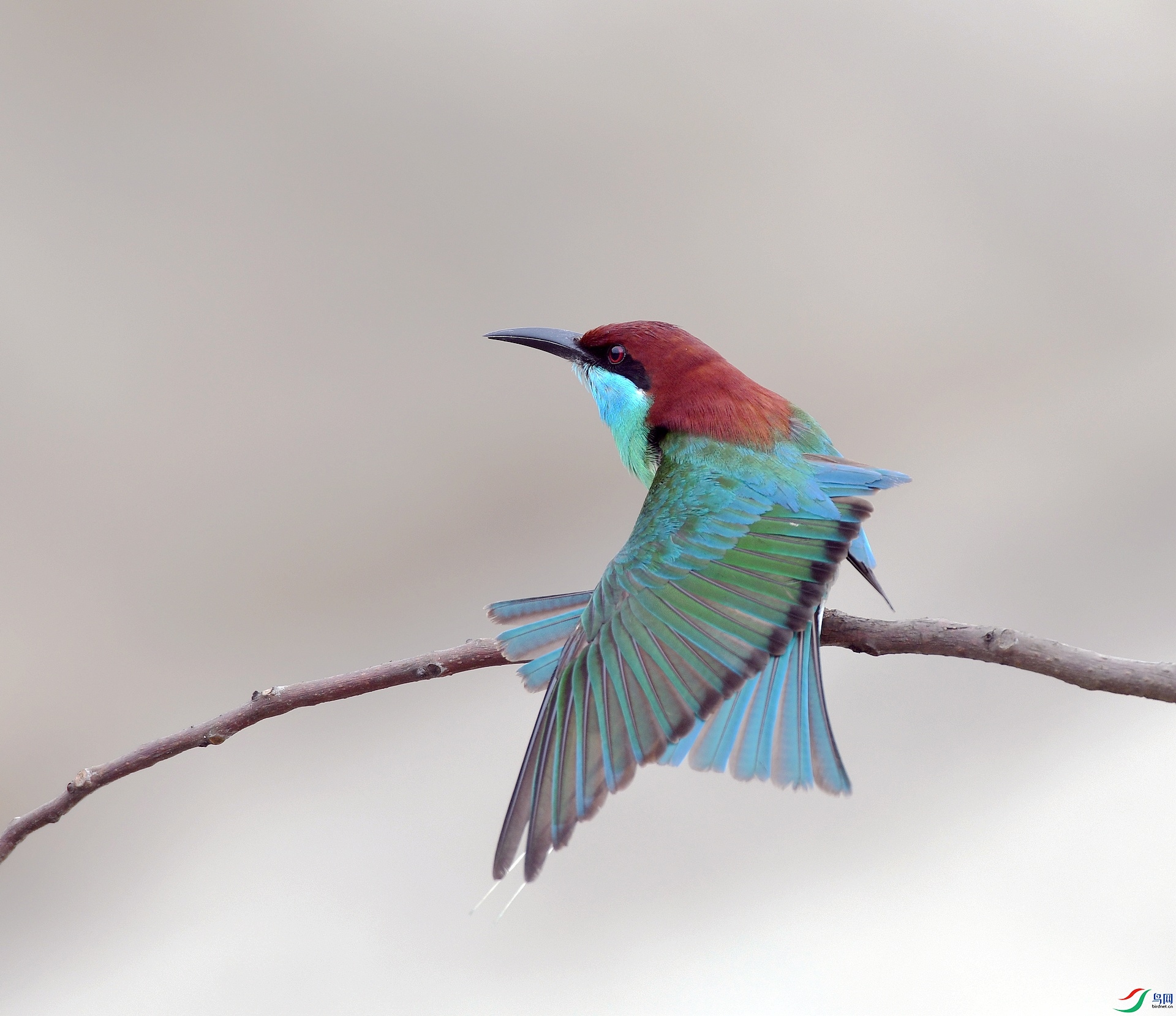 DSC_7093.jpg