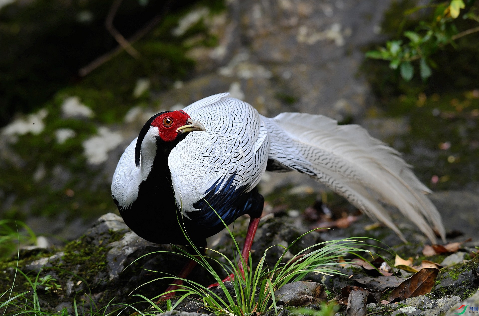 DSC_6377.jpg