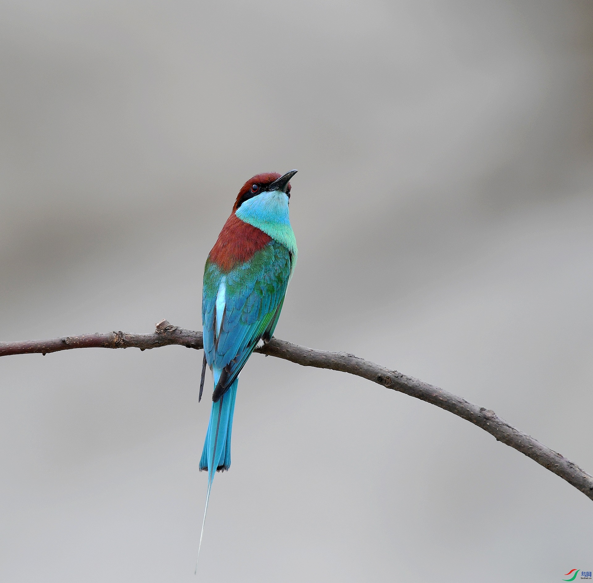 DSC_6767.jpg