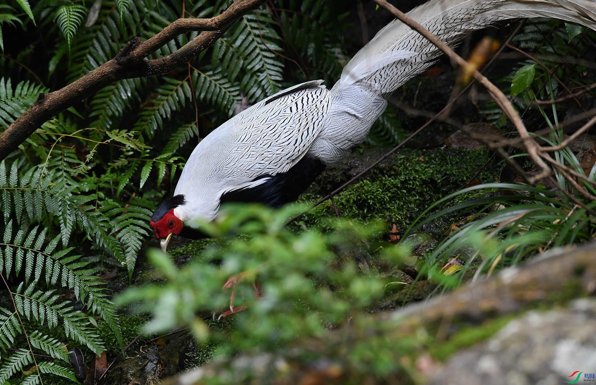 DSC_6345.jpg