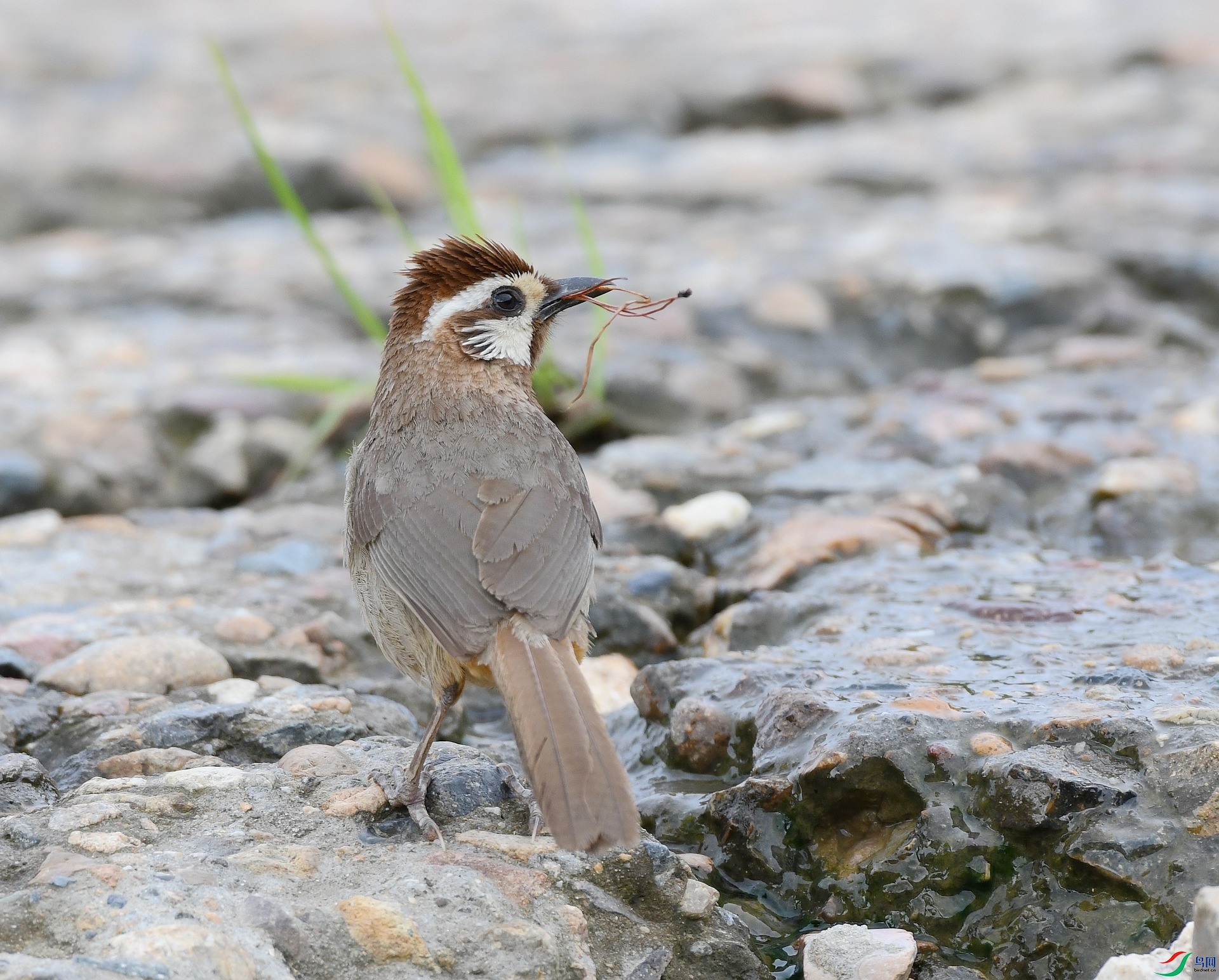 DSC_4165.jpg