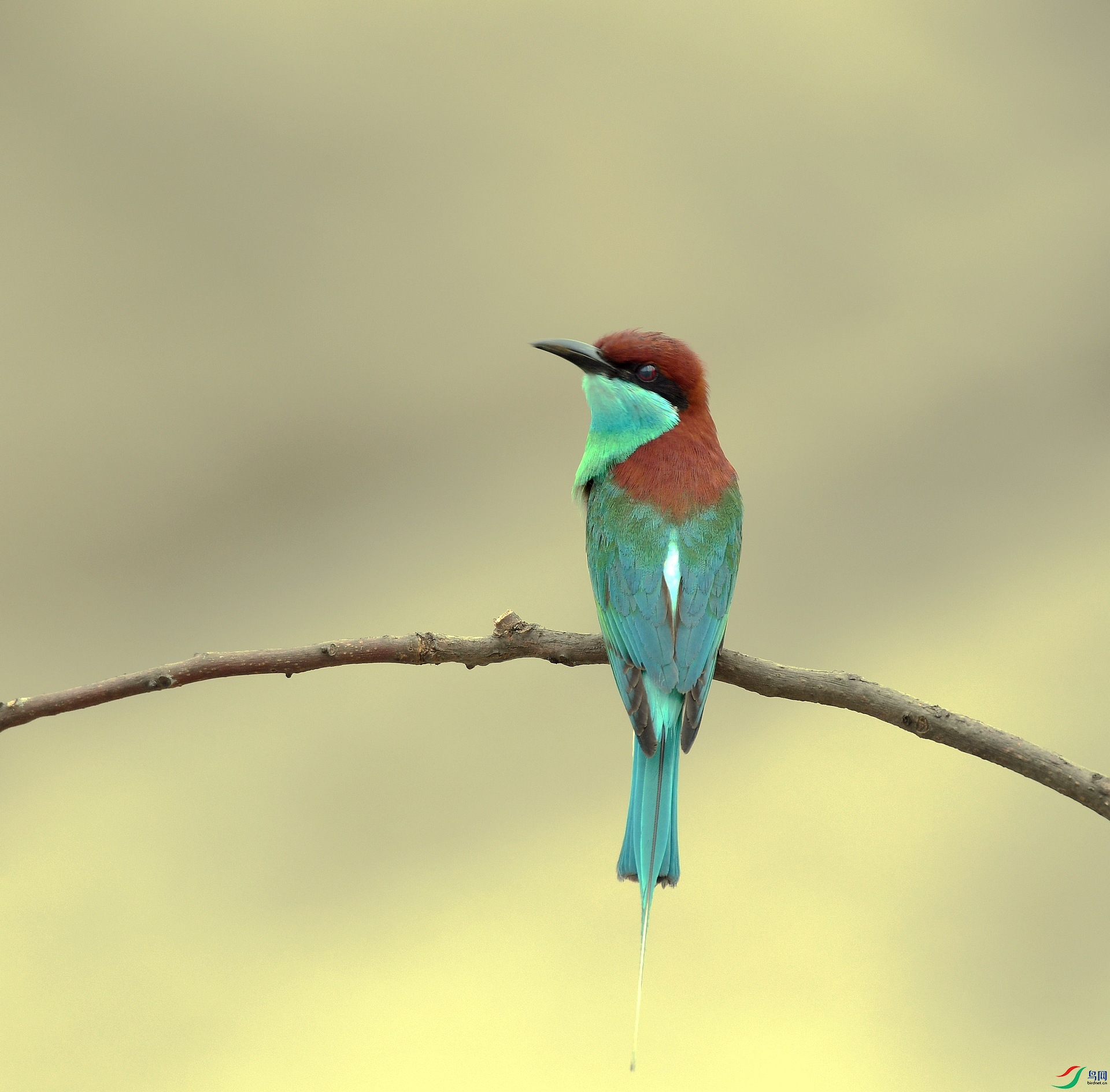 DSC_6769.jpg