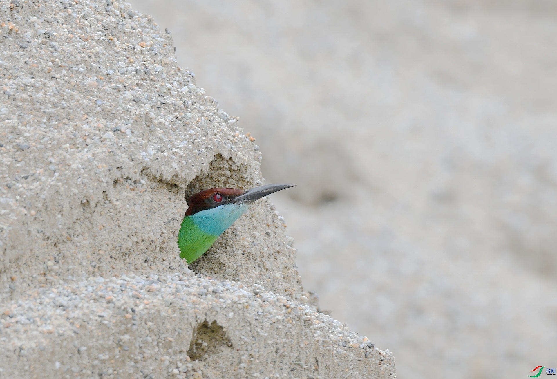 DSC_6796.jpg