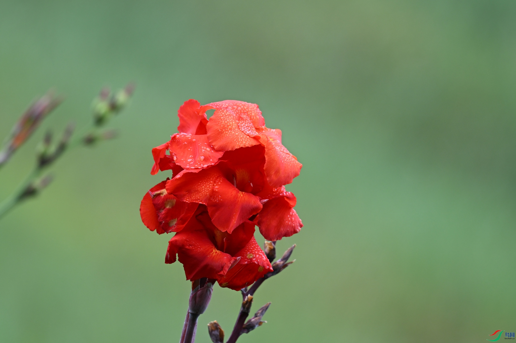 DSC_2060.JPG