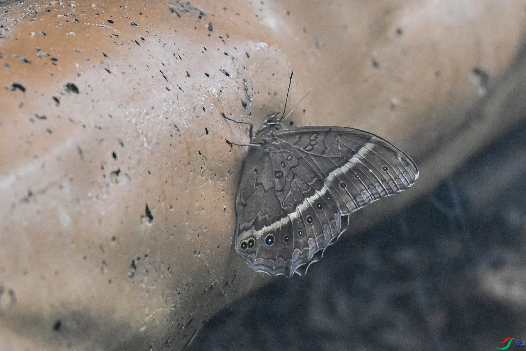 DSC_2079.JPG