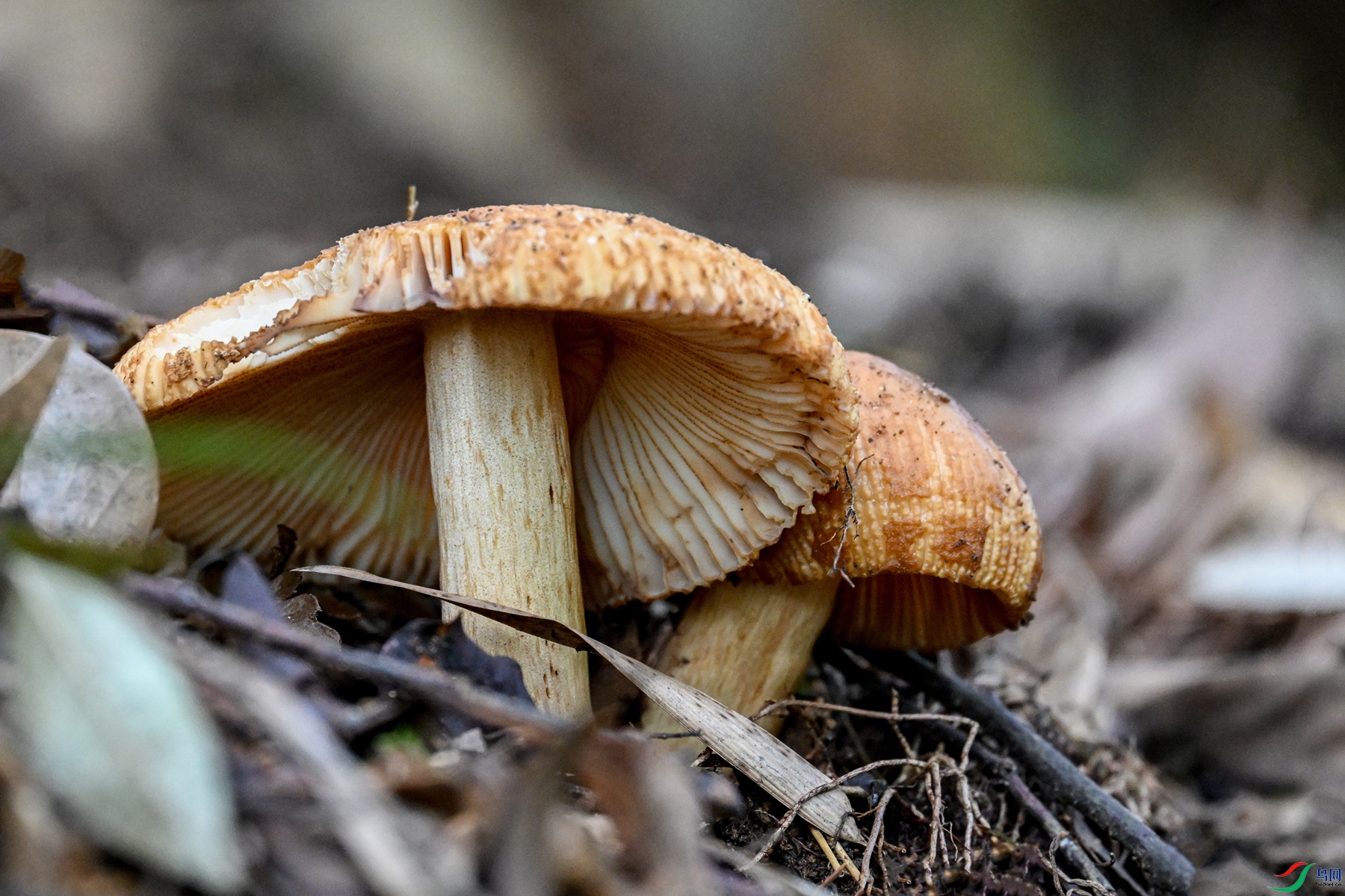 DSC_2081.JPG