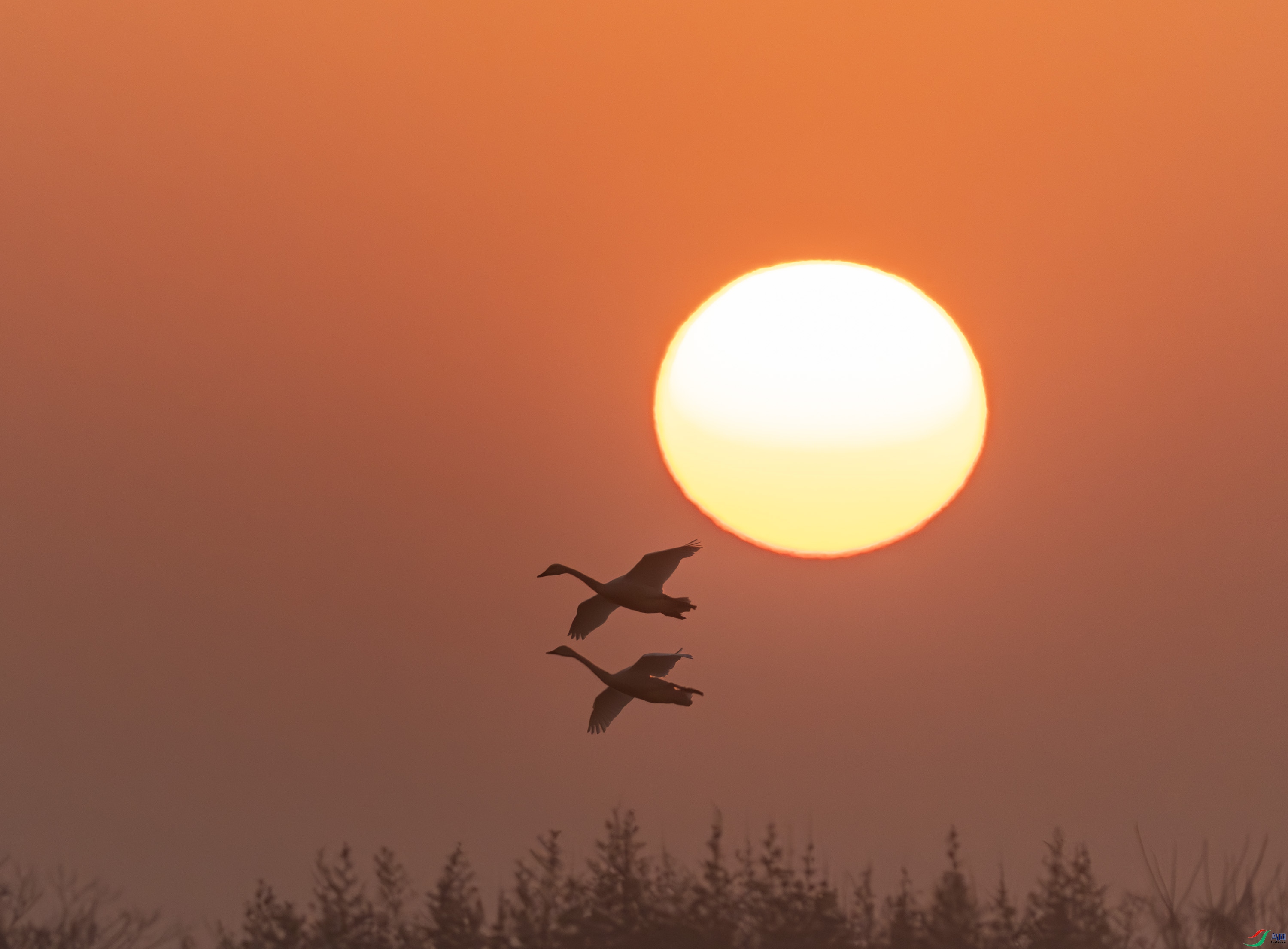 �ճ�-01-40.jpg