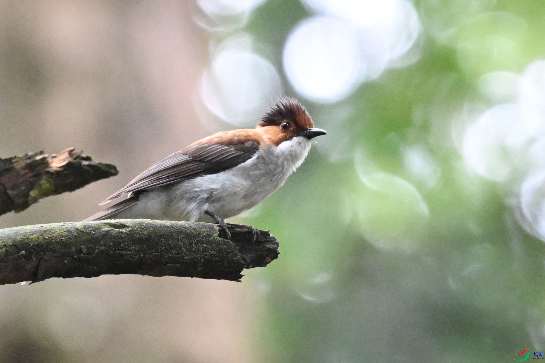 DSC_2070.JPG