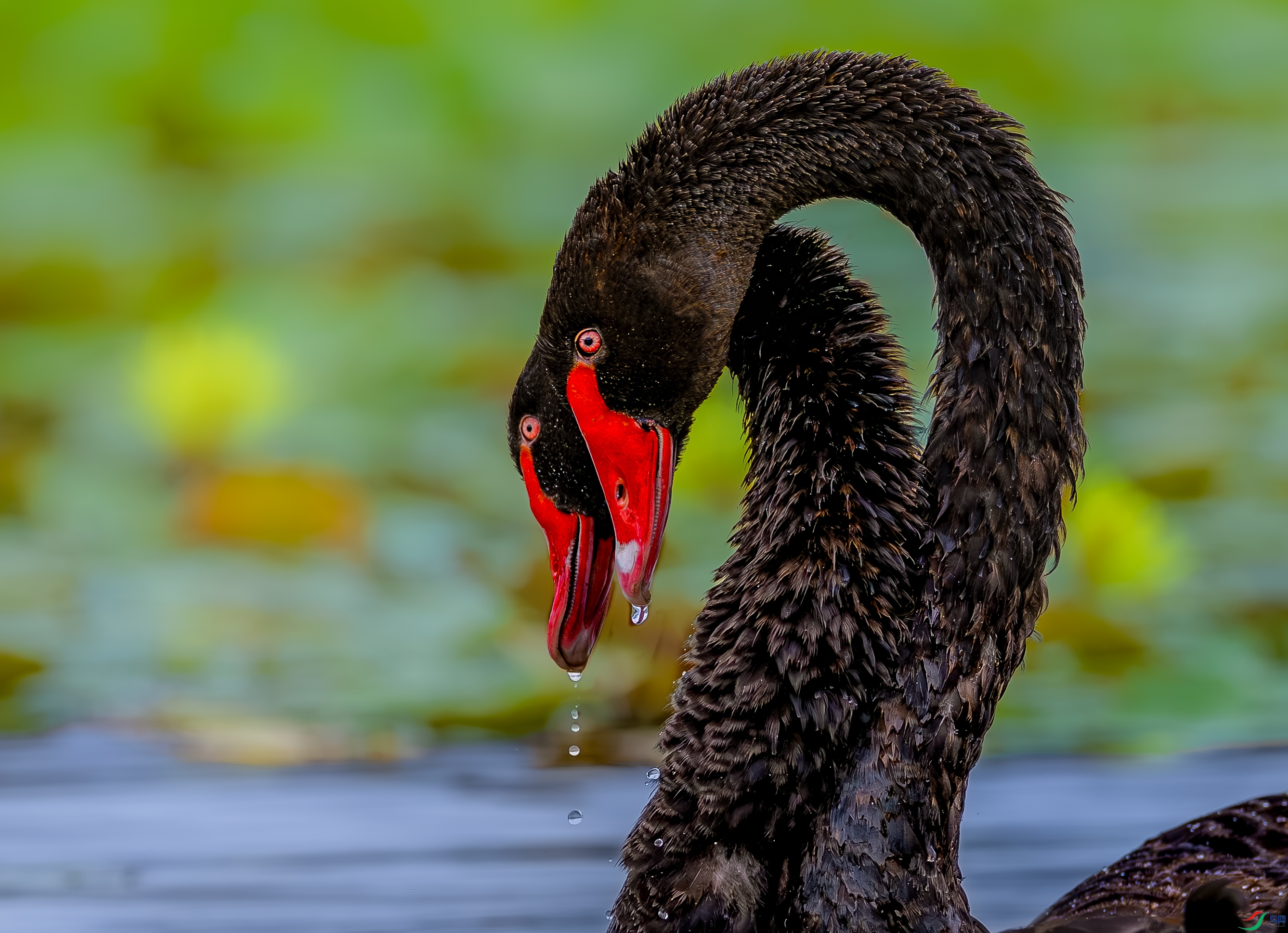 _38A4410-22.jpg