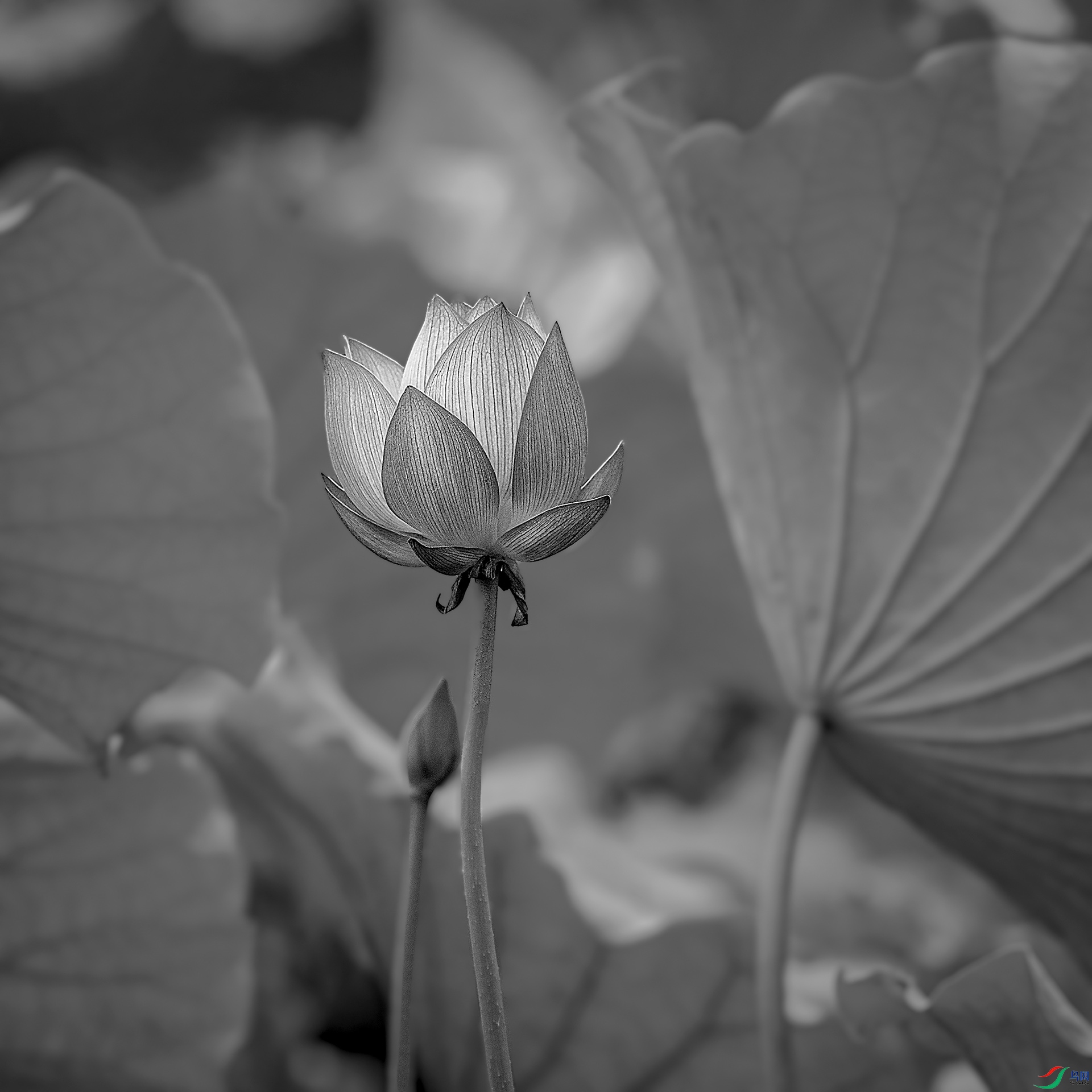 0629��.jpg