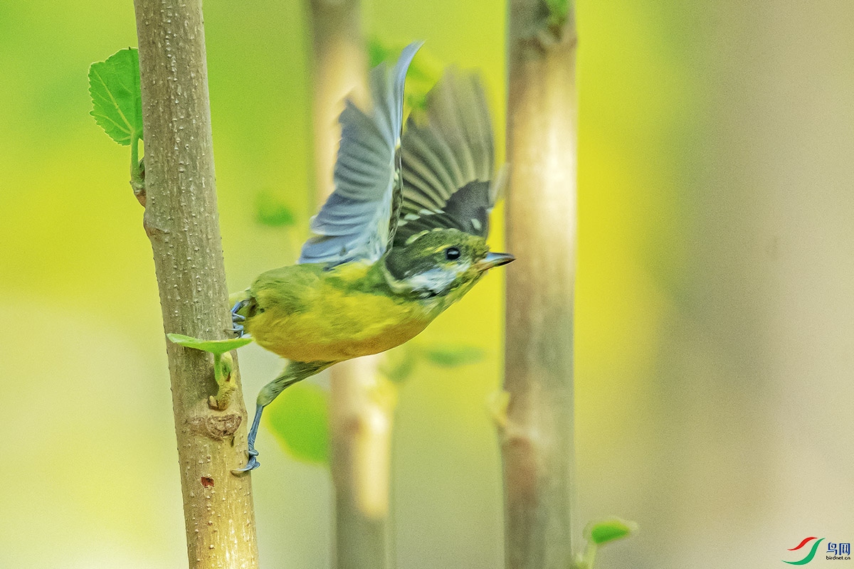 DSC_4448-����ǿ`.jpg