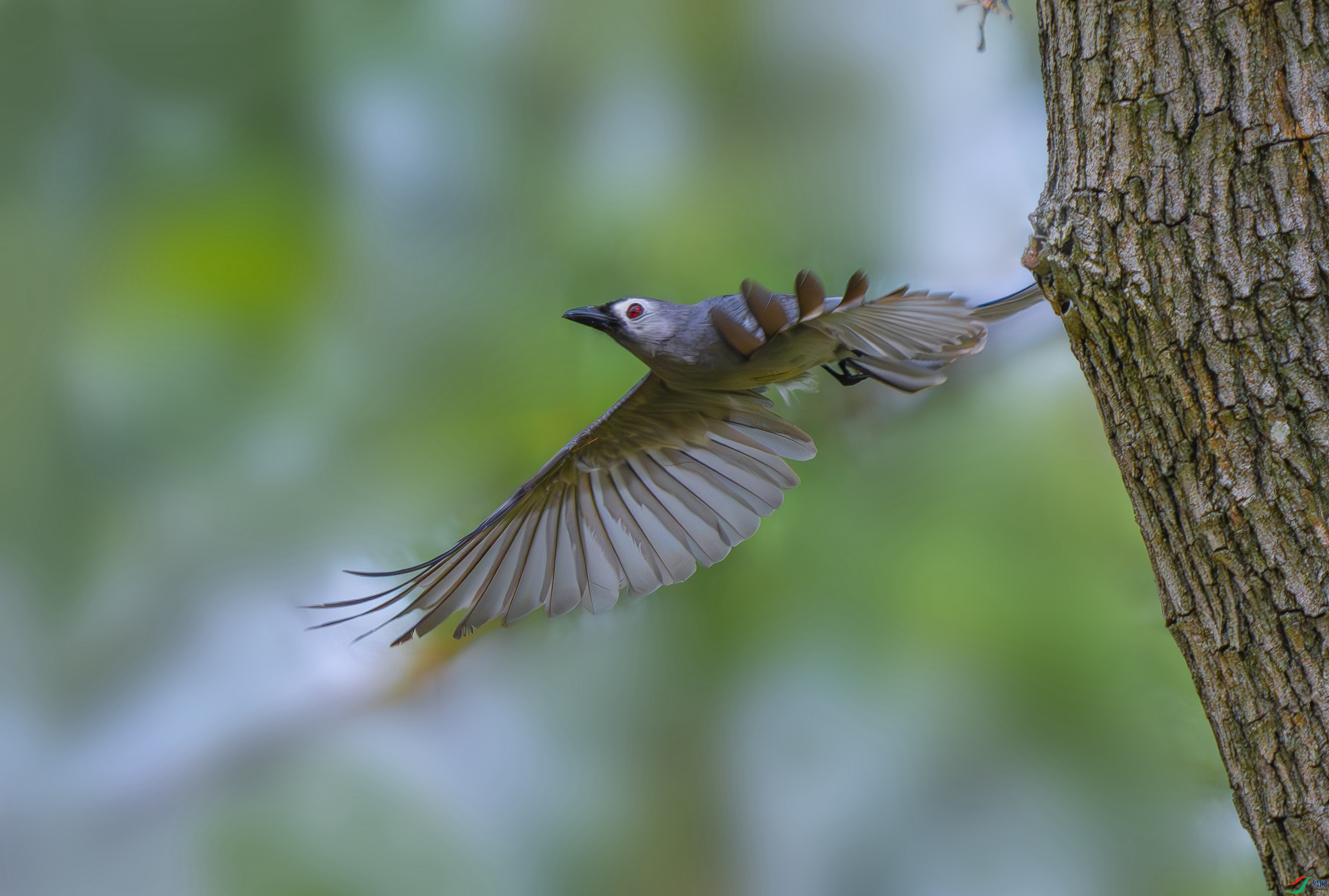 DSC_0124-1.jpg