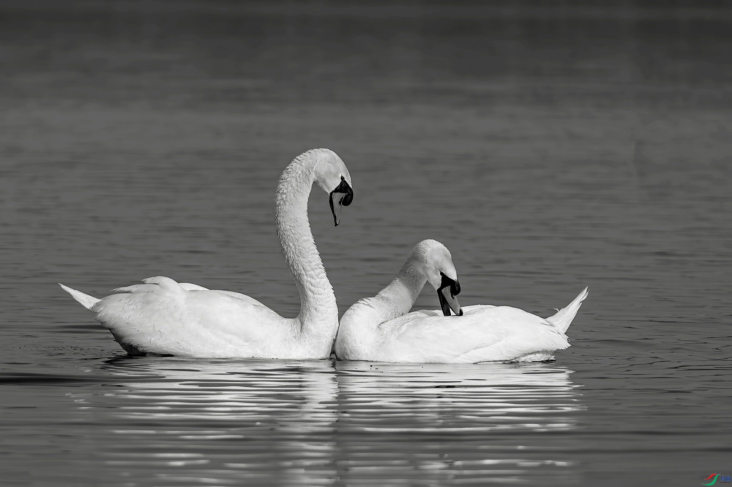 DSC01744a_����.jpg
