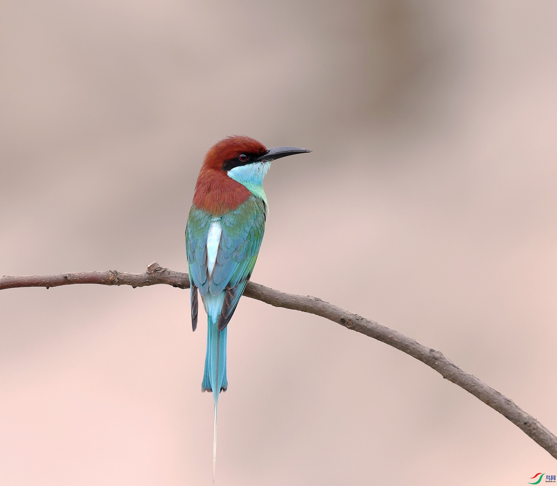 DSC_7174.jpg