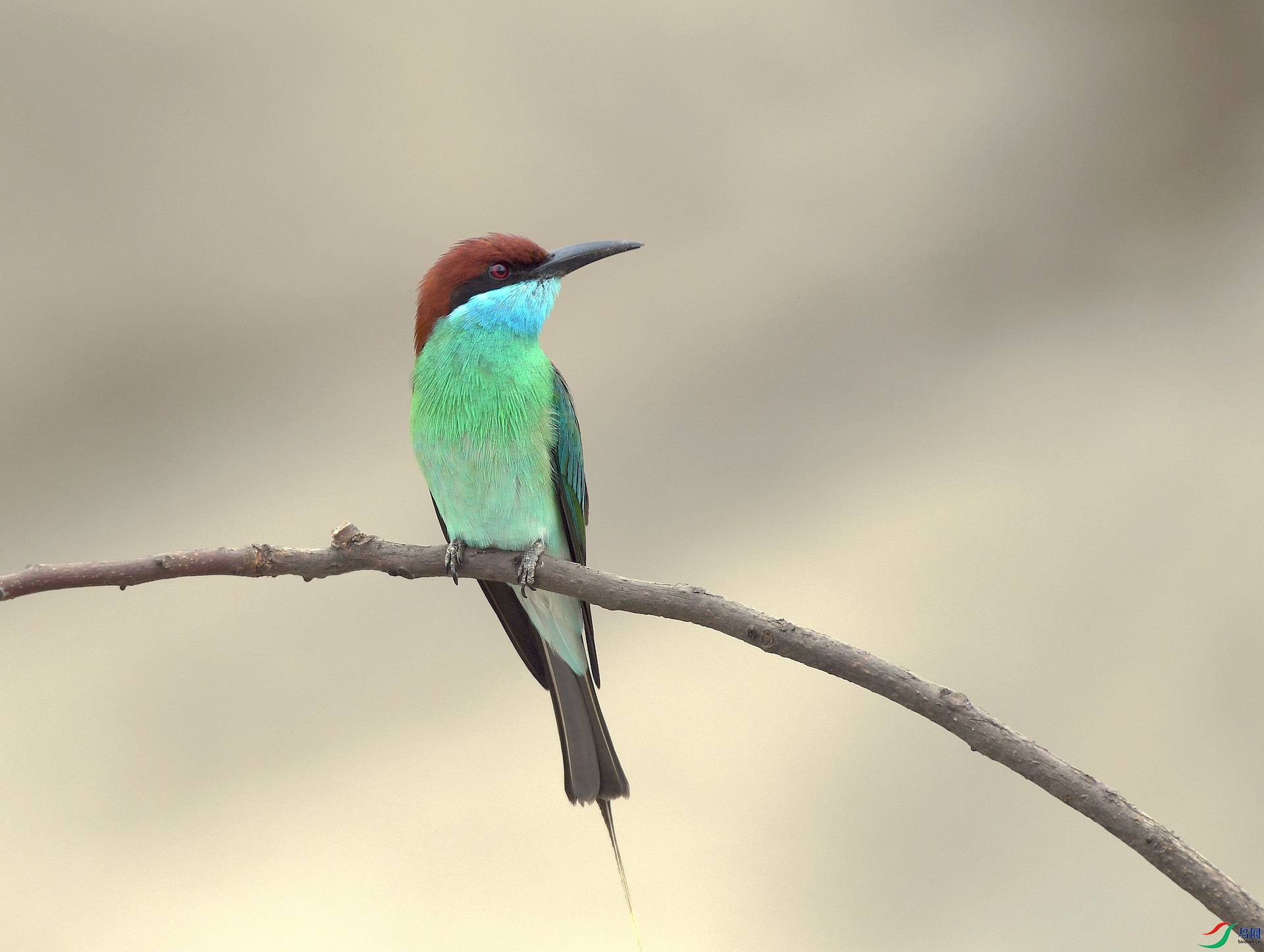 DSC_6757.jpg