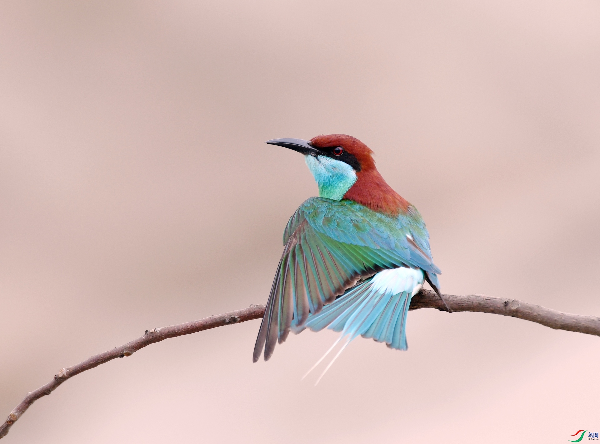 DSC_7100.jpg