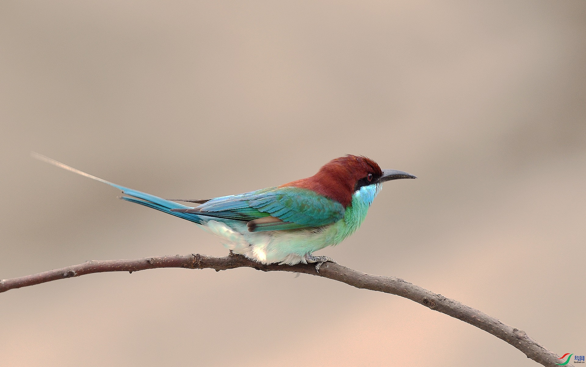 DSC_6760.jpg