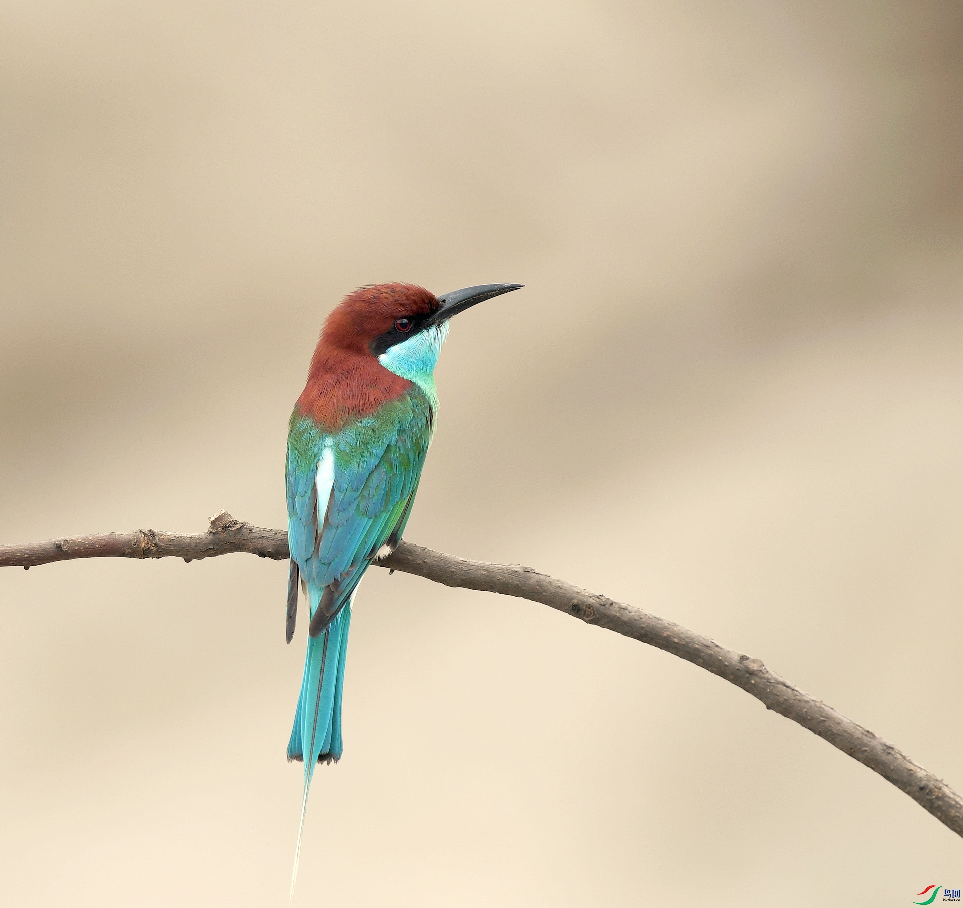 DSC_6762.jpg