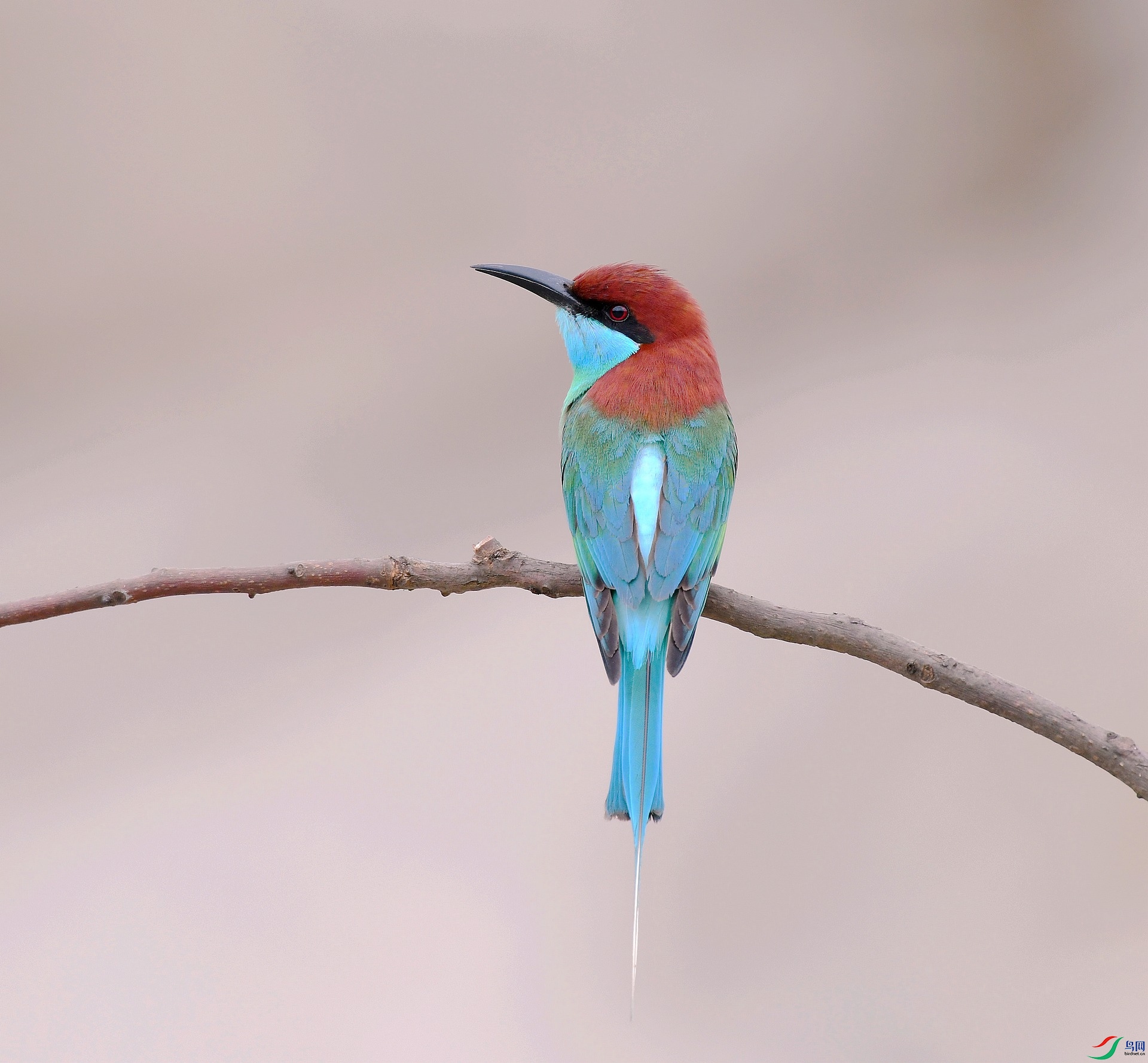 DSC_7173.jpg