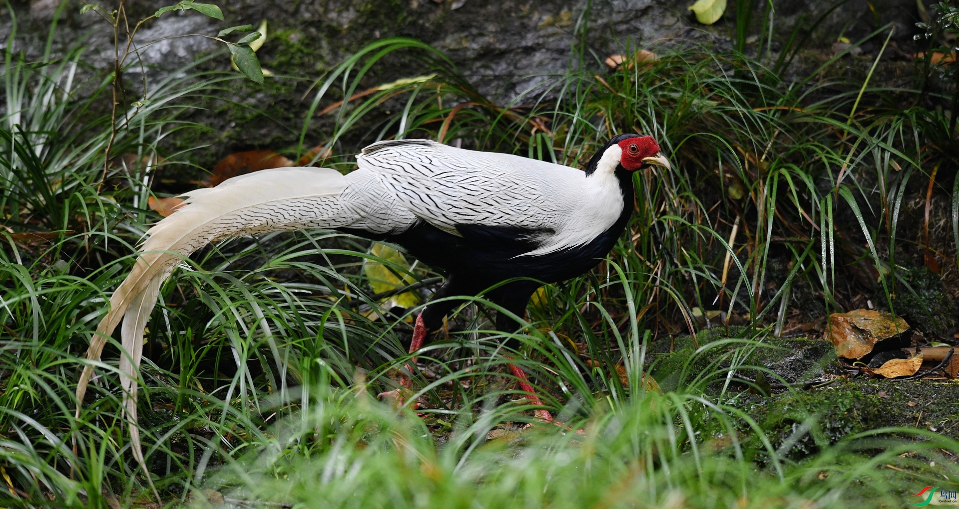 DSC_5973.jpg