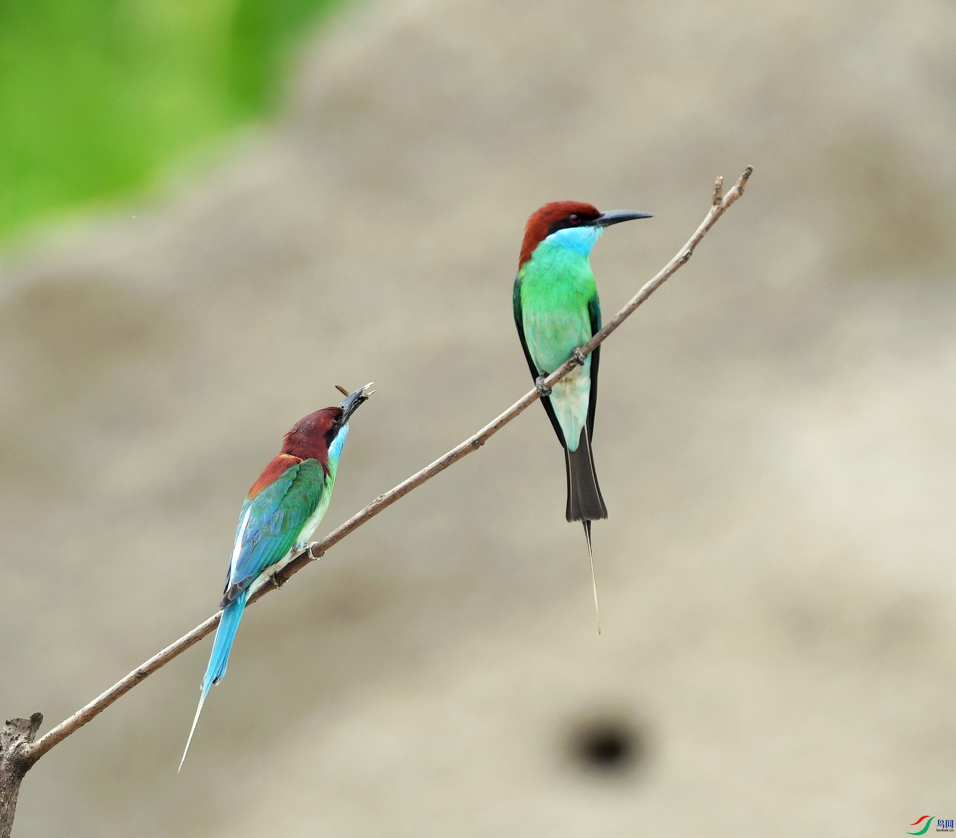 DSC_4431.jpg