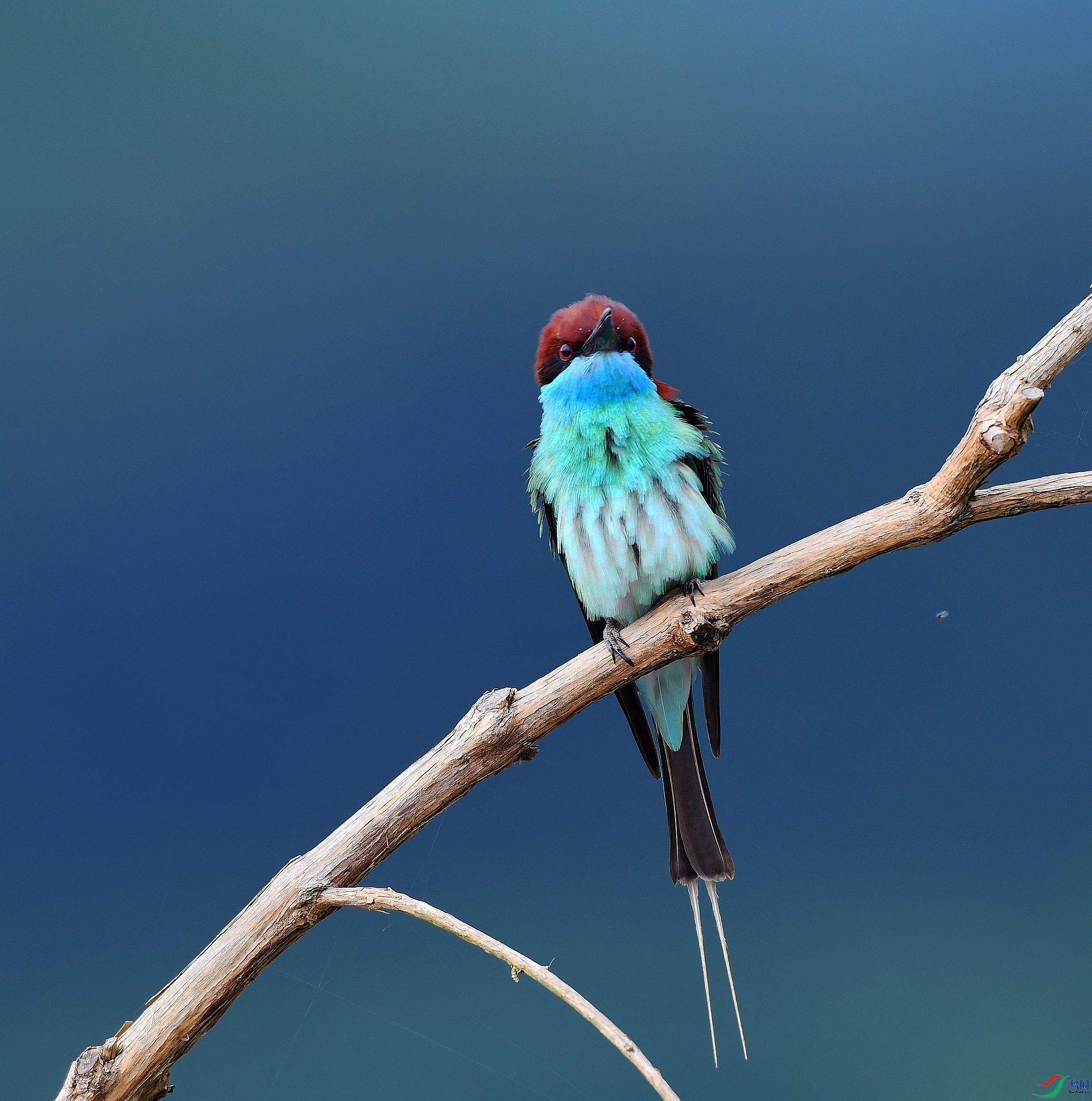 DSC_5116.jpg