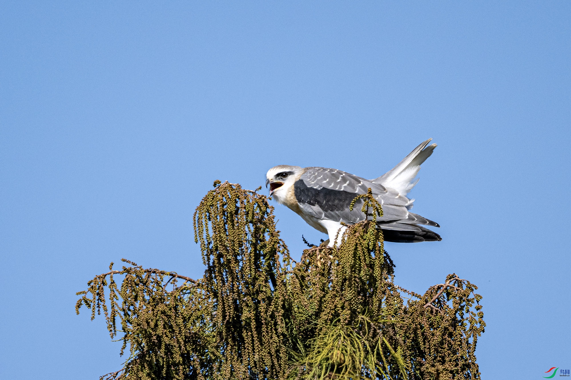 DSC_1965.jpg