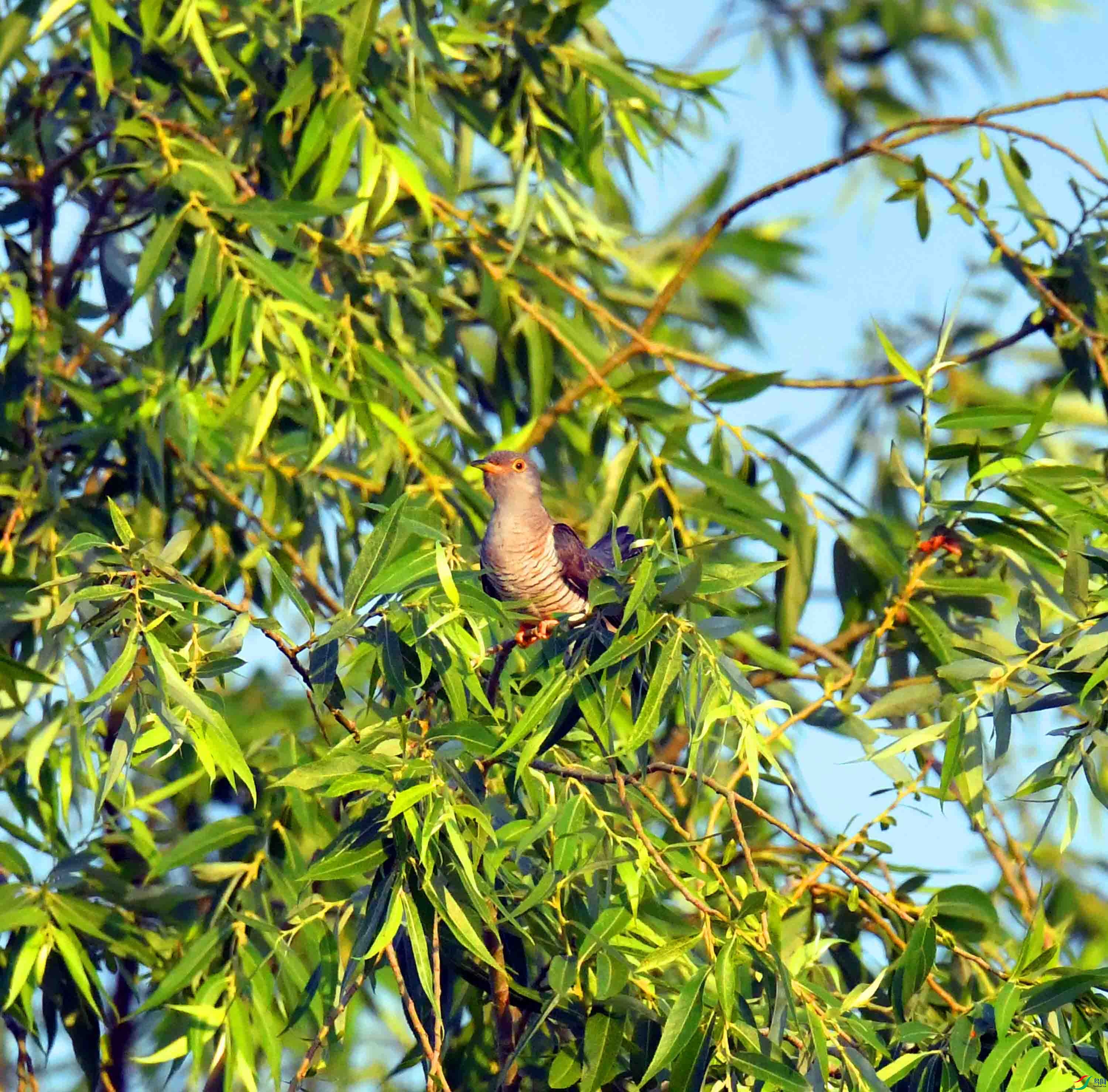 DSC_3454.JPG