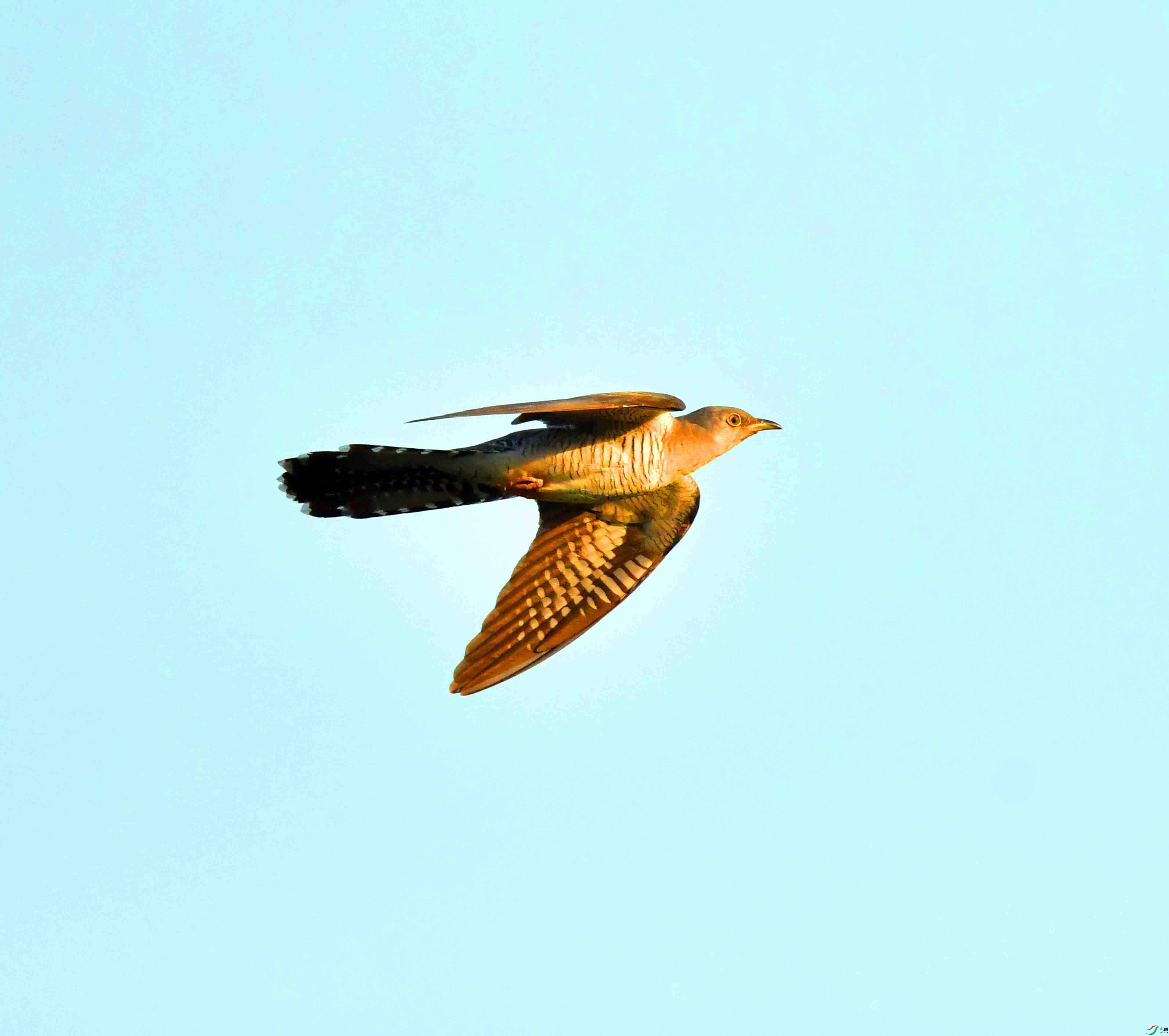 DSC_3489.JPG