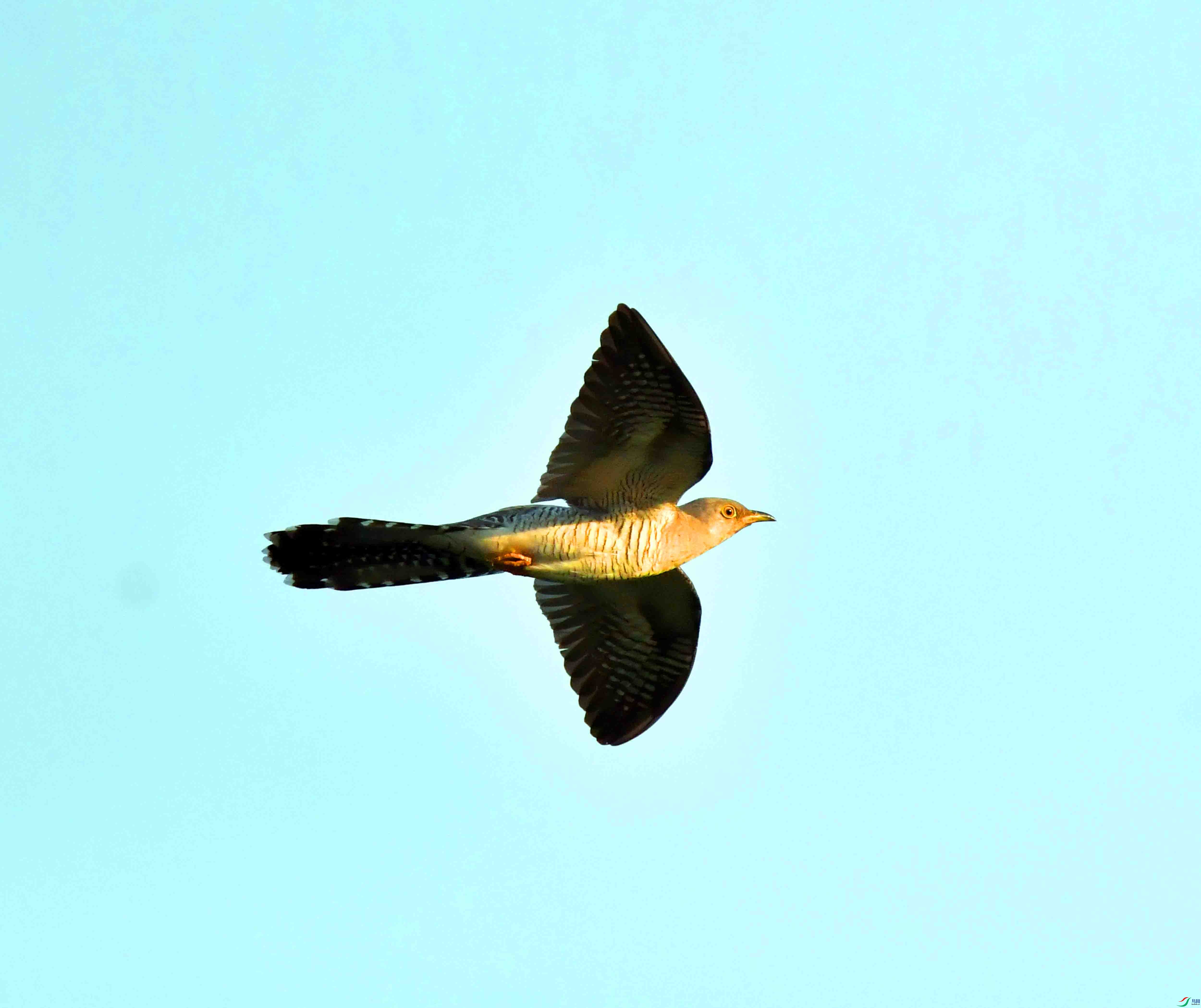 DSC_3490.JPG