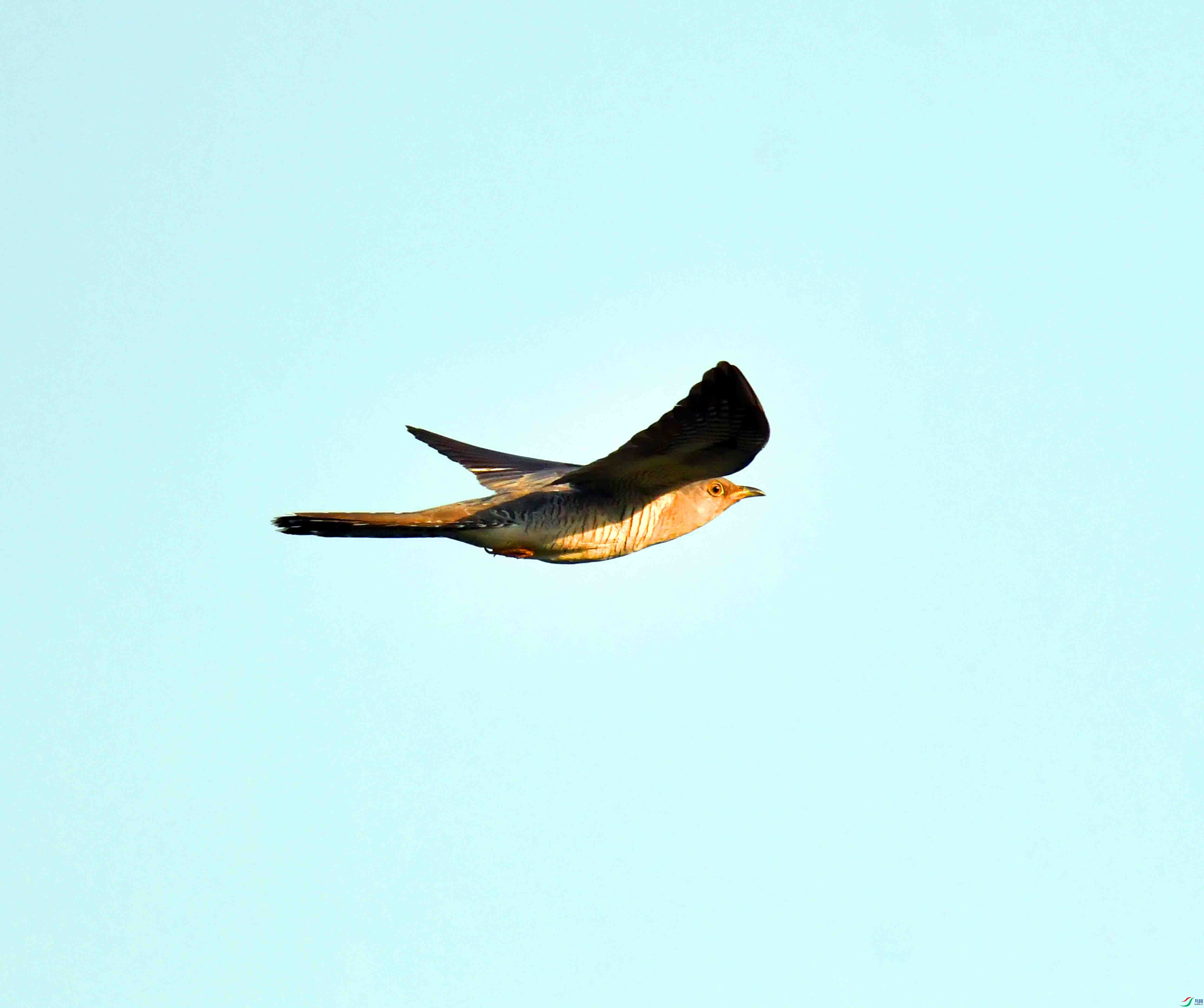 DSC_3491.JPG
