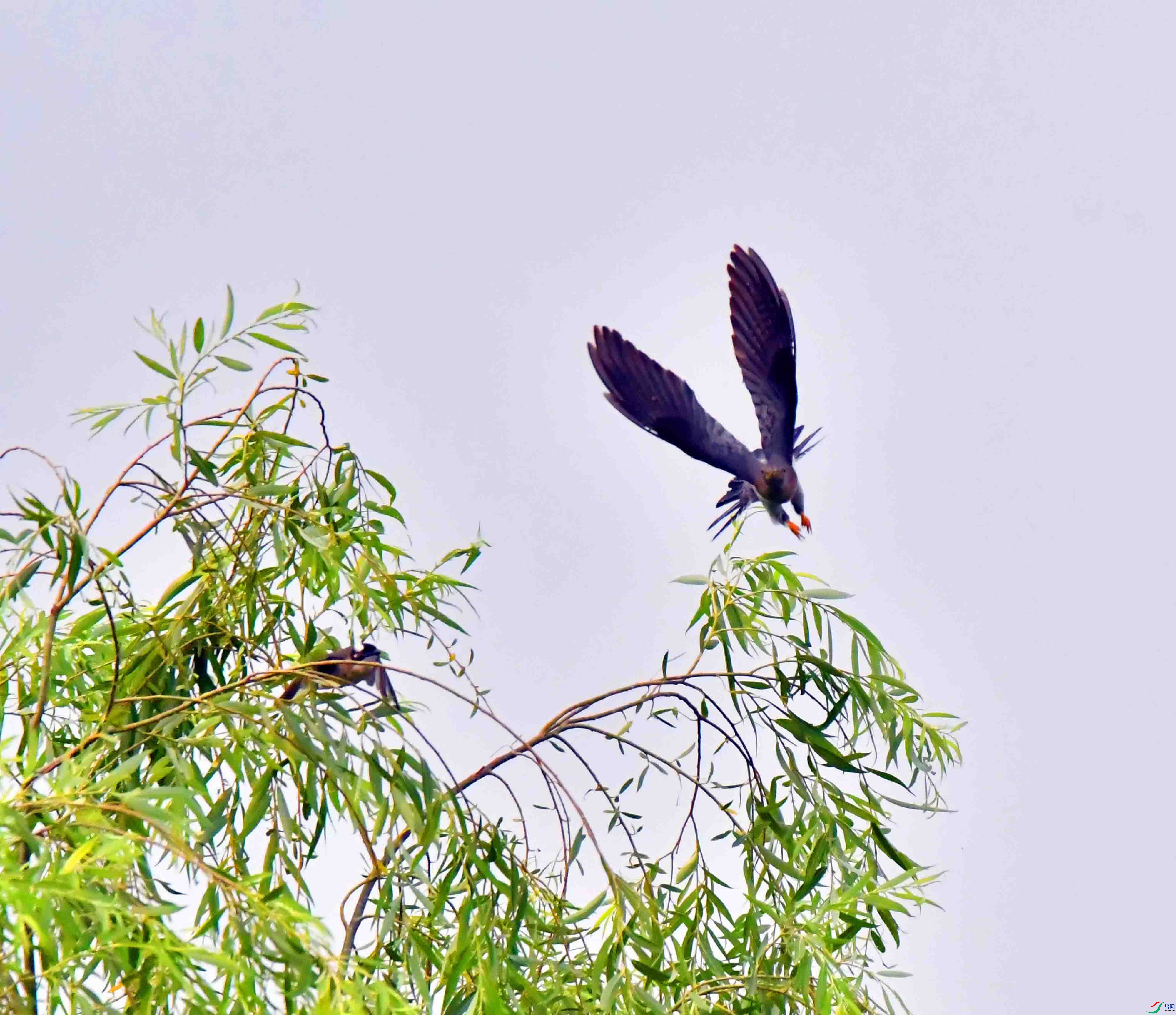 DSC_4000.JPG