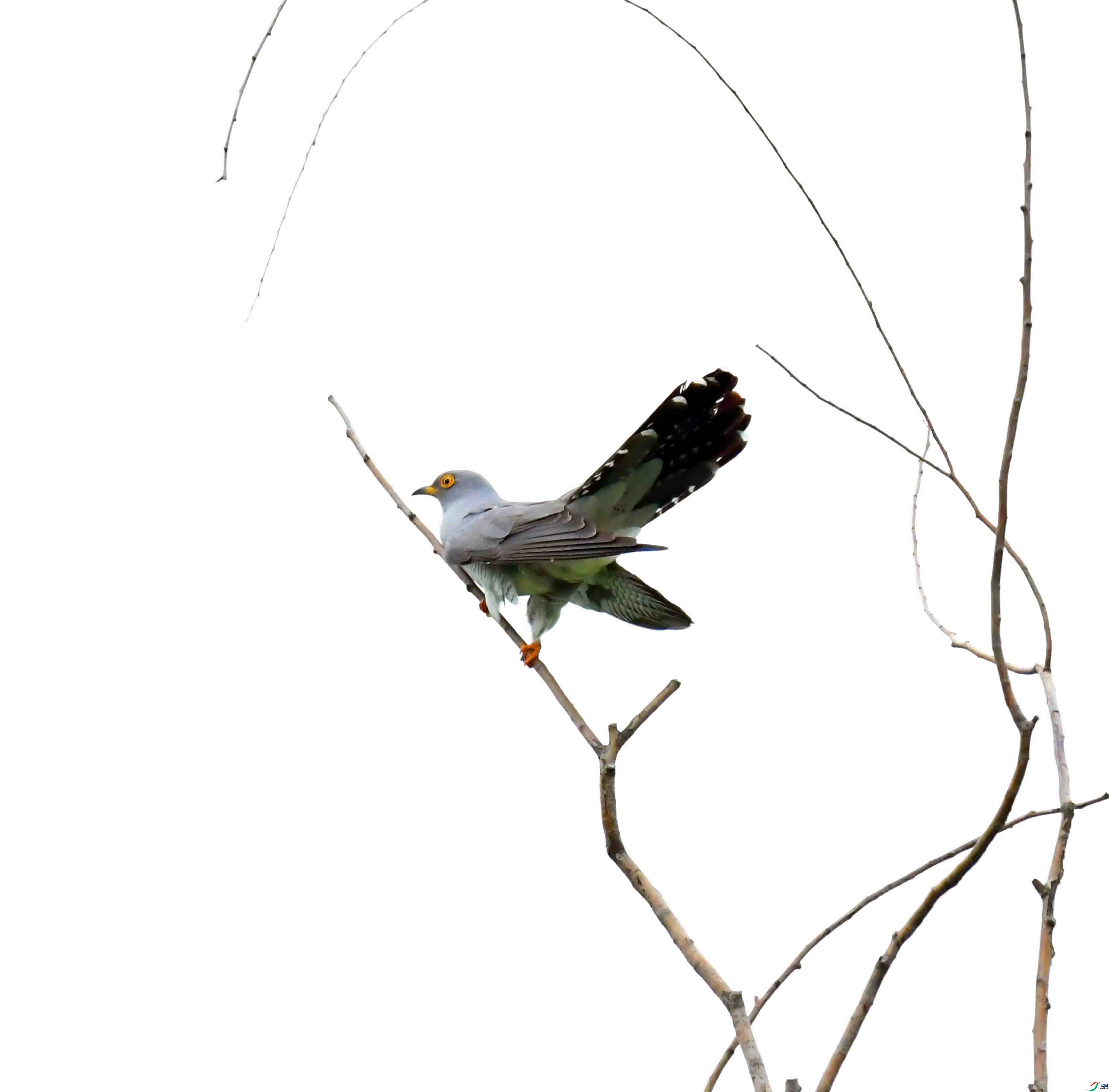 DSC_4149.JPG