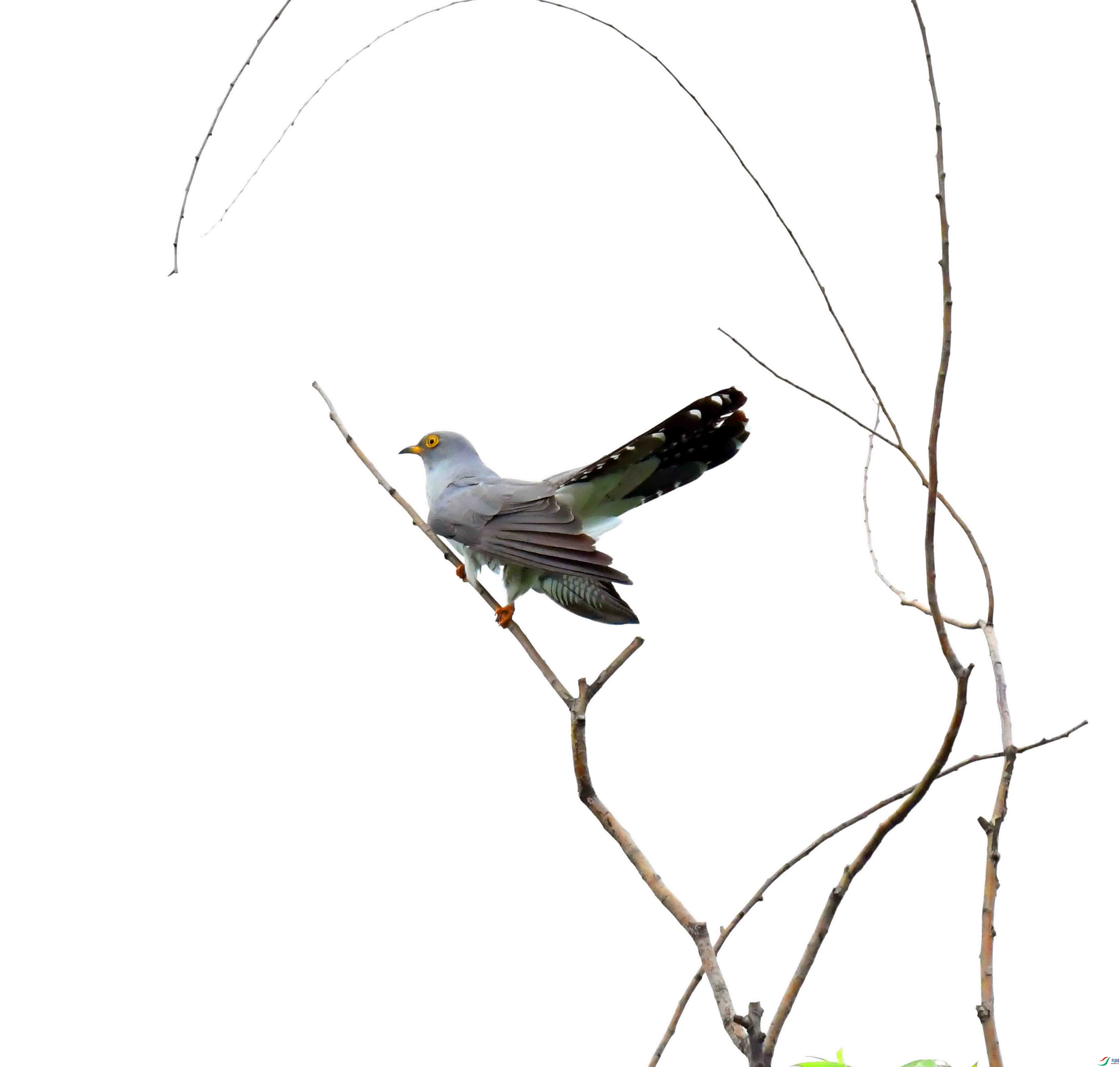 DSC_4151.JPG
