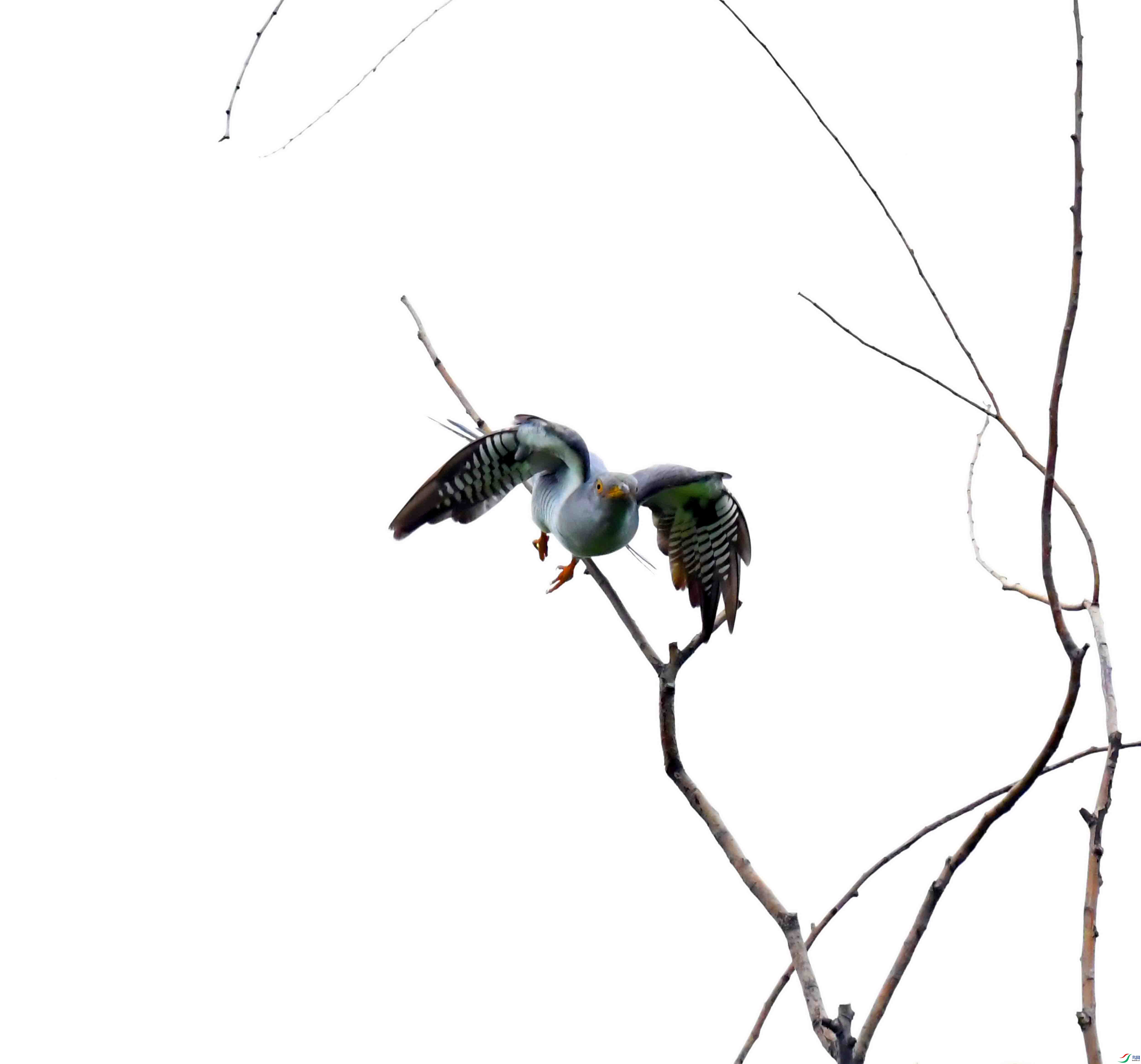 DSC_4154.JPG