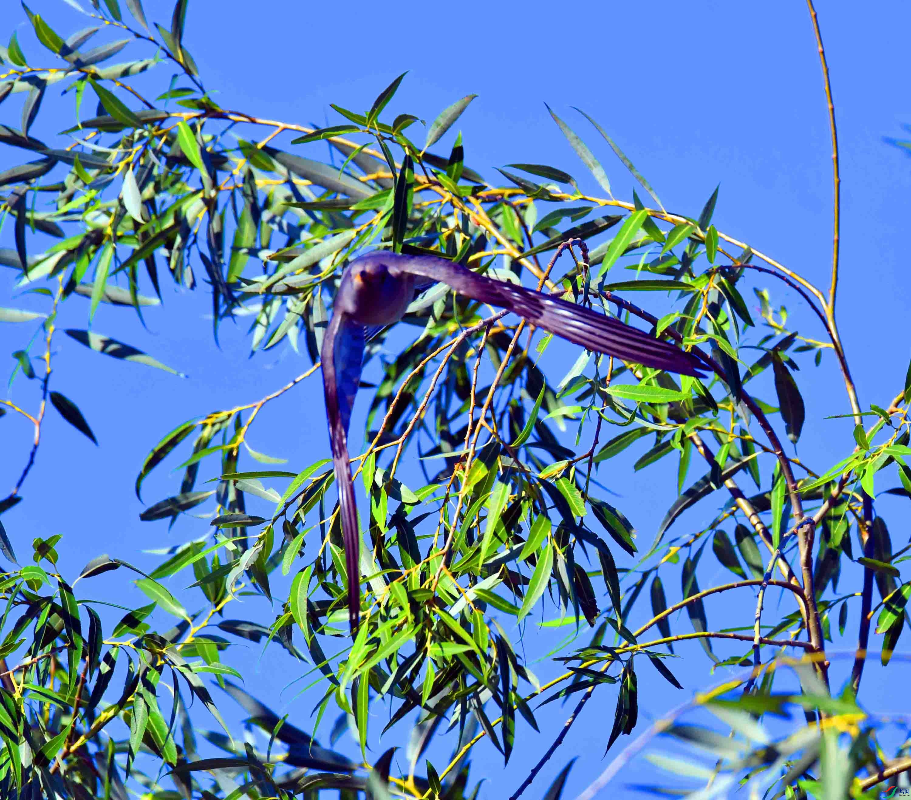 DSC_8433.JPG