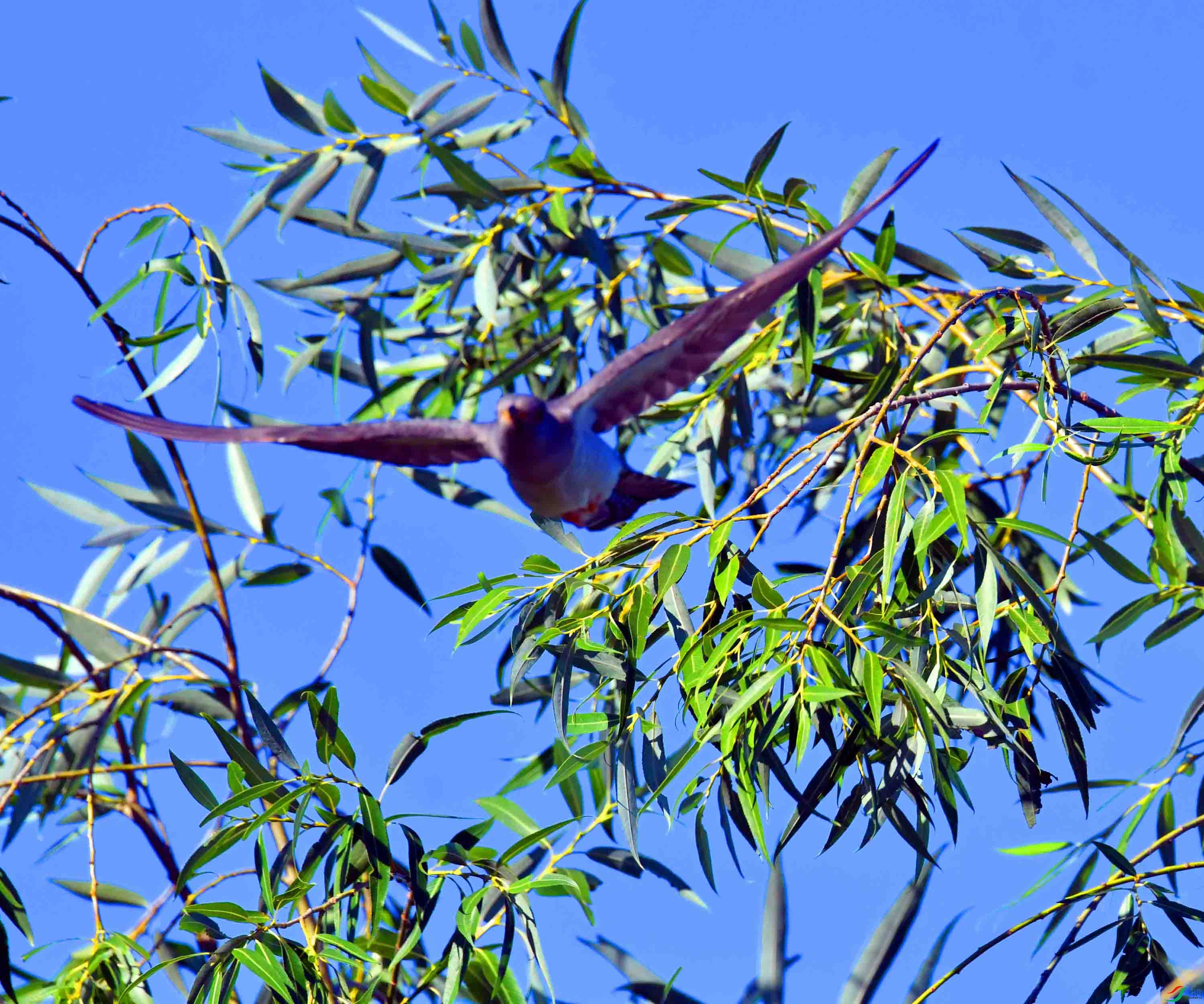 DSC_8434.JPG