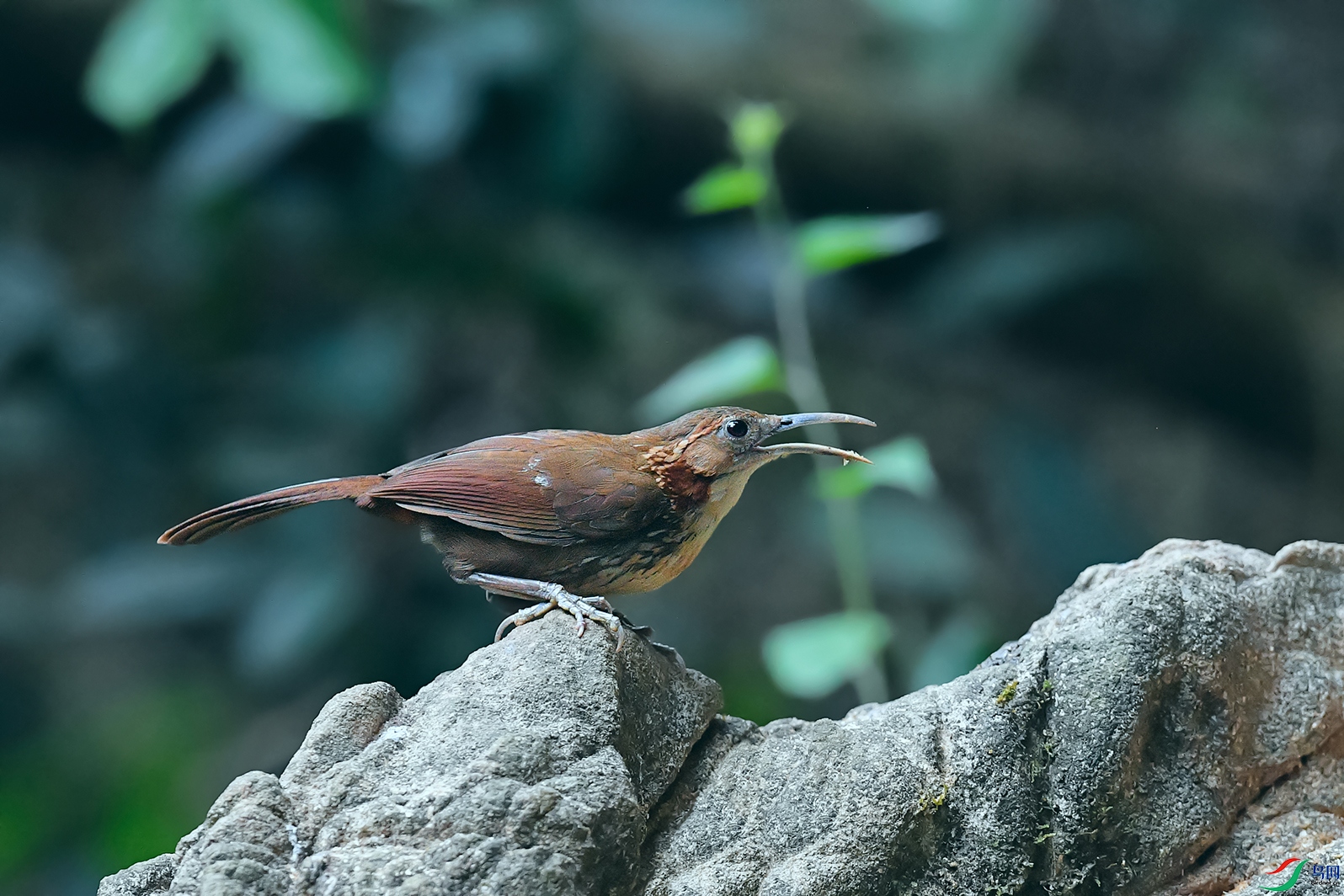 3DSC_3389_DxOa.jpg