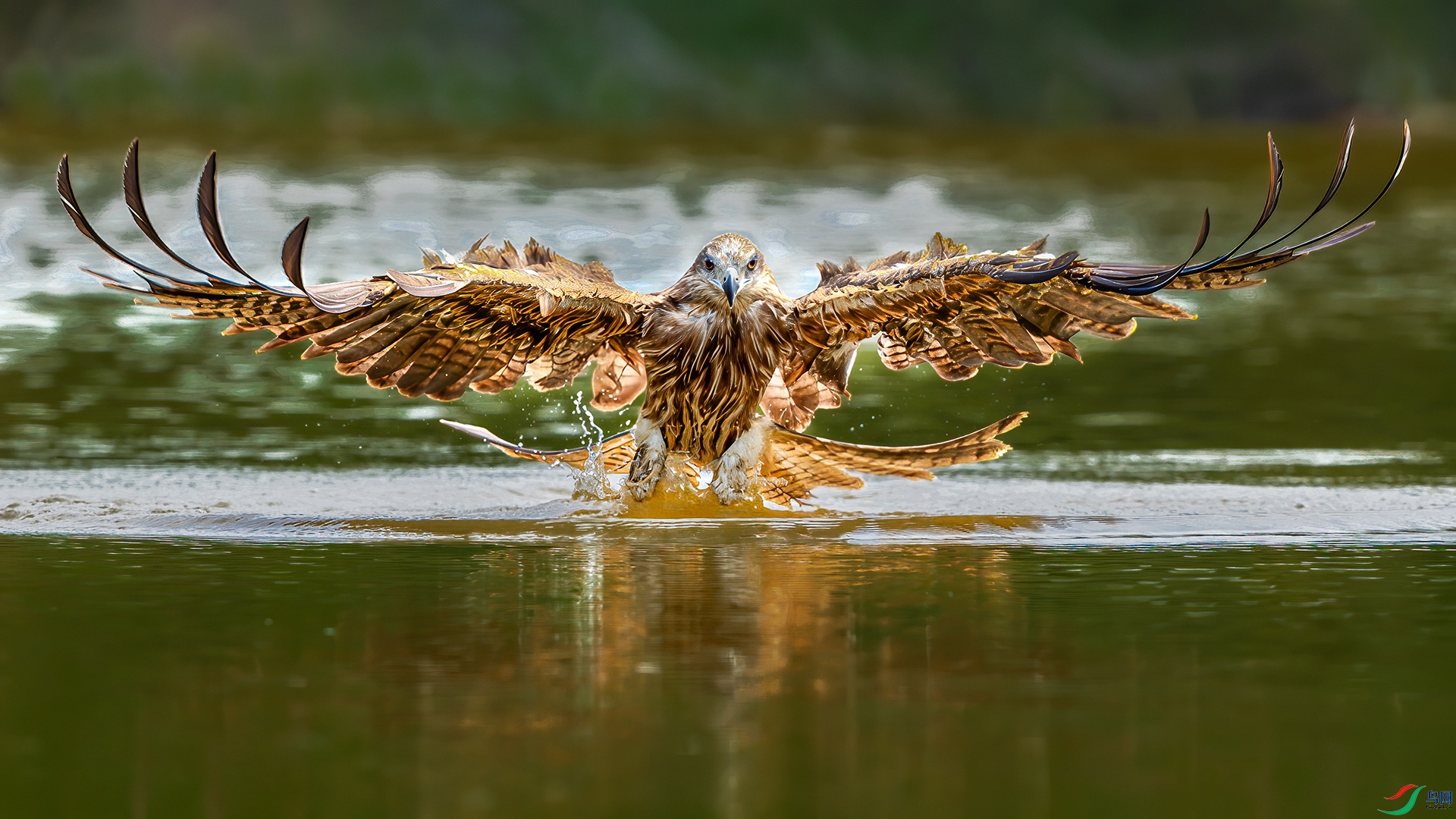 0D1A8597-8.jpg