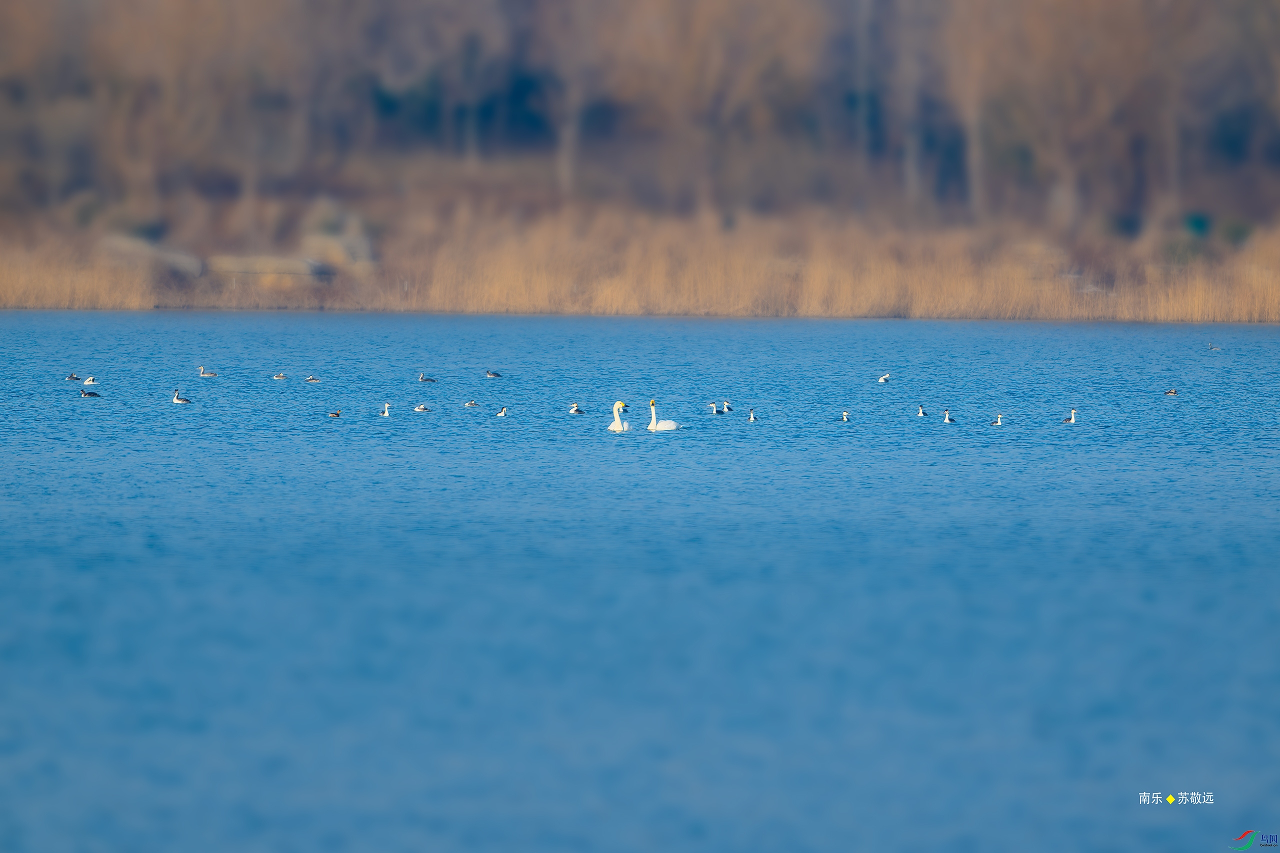 _DSC1030-DxO_С.jpg