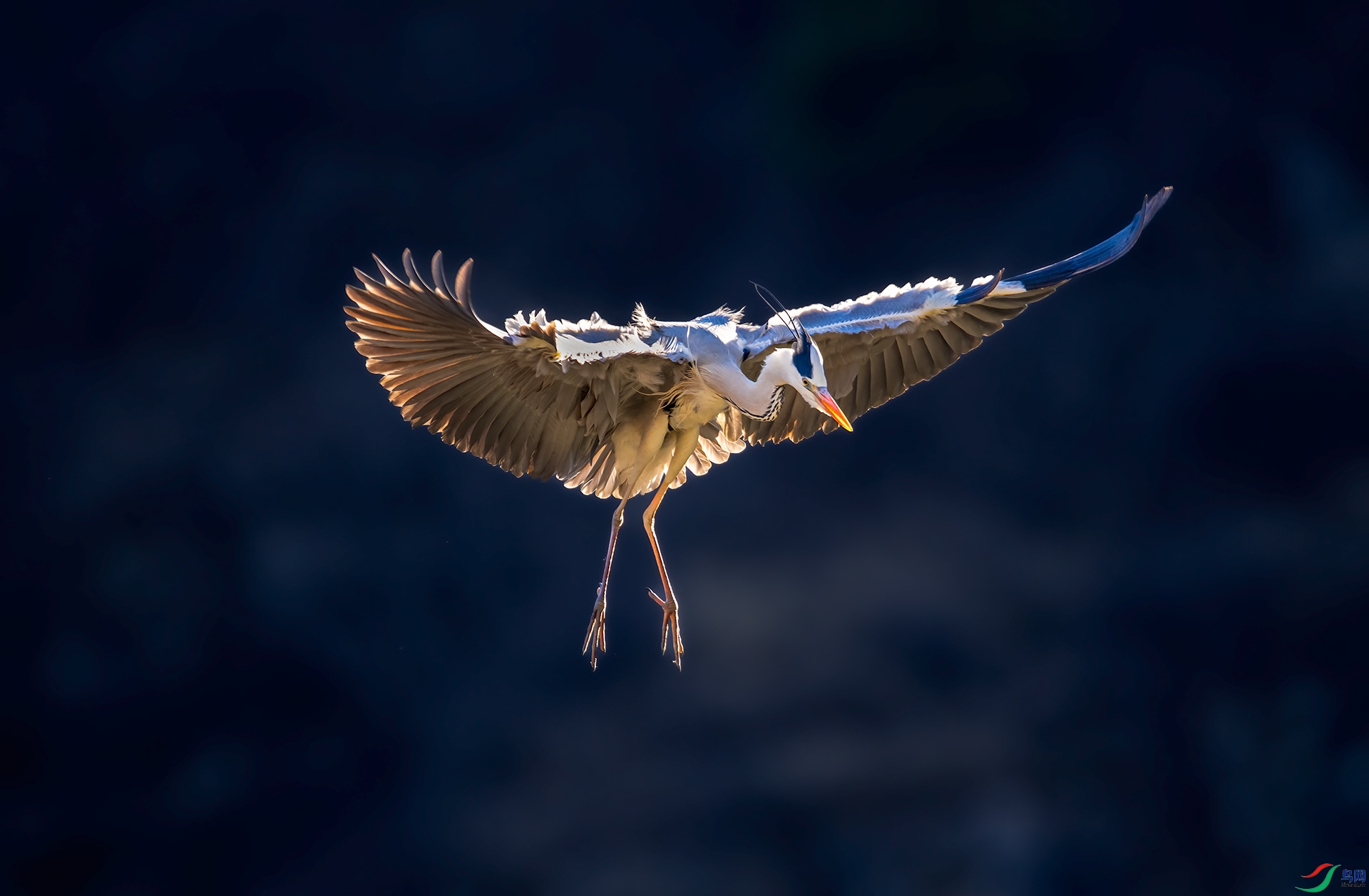 DSC_3110-1.jpg
