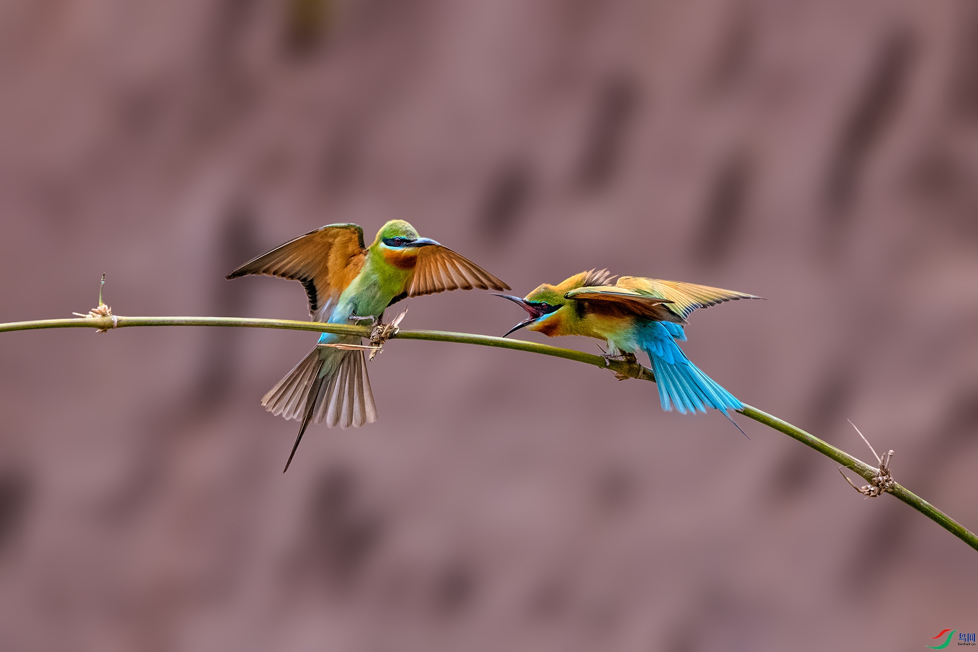 _AUU4153 ����(25.5.11).jpg