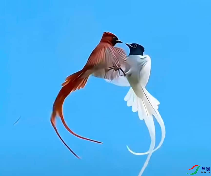 ͼƬ1.png