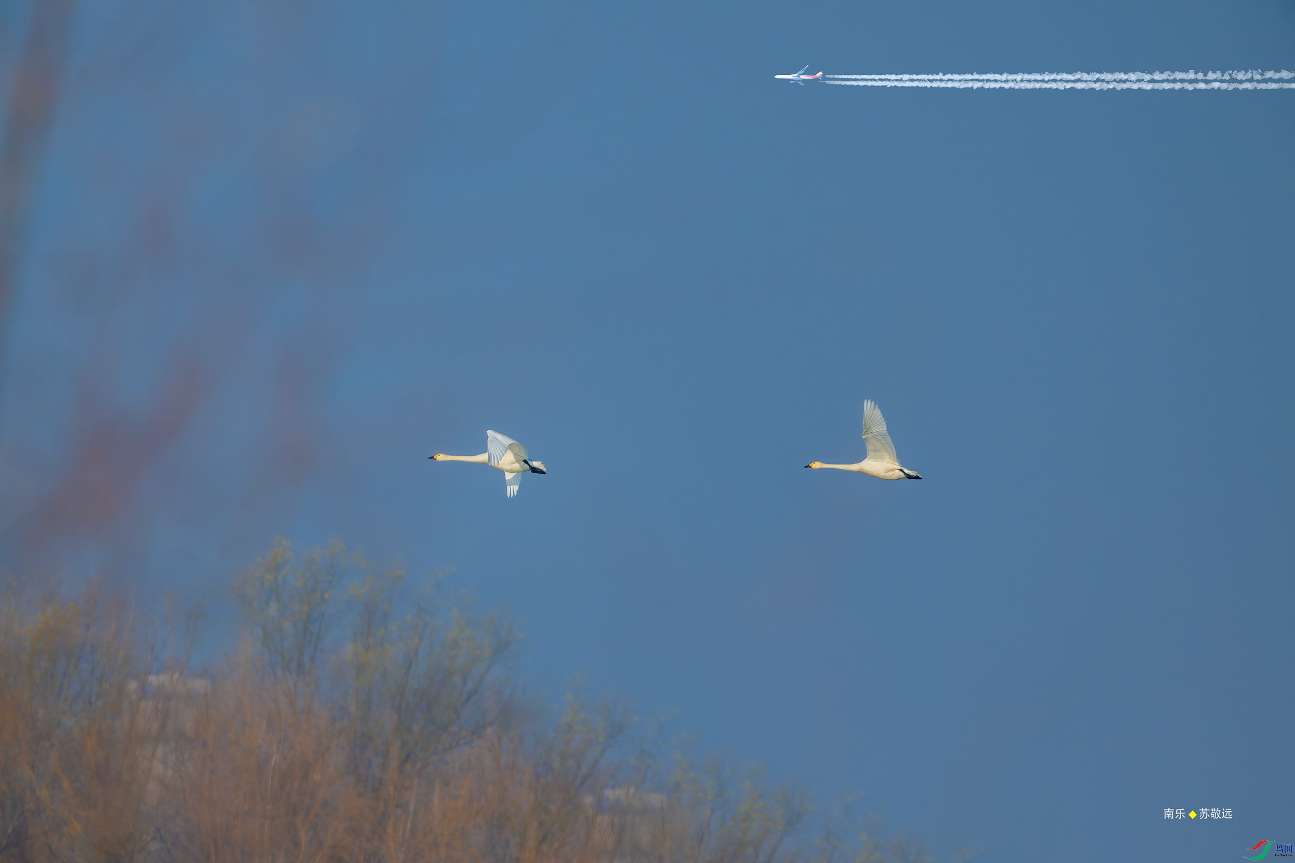 _DSC1096-DxO_С.jpg
