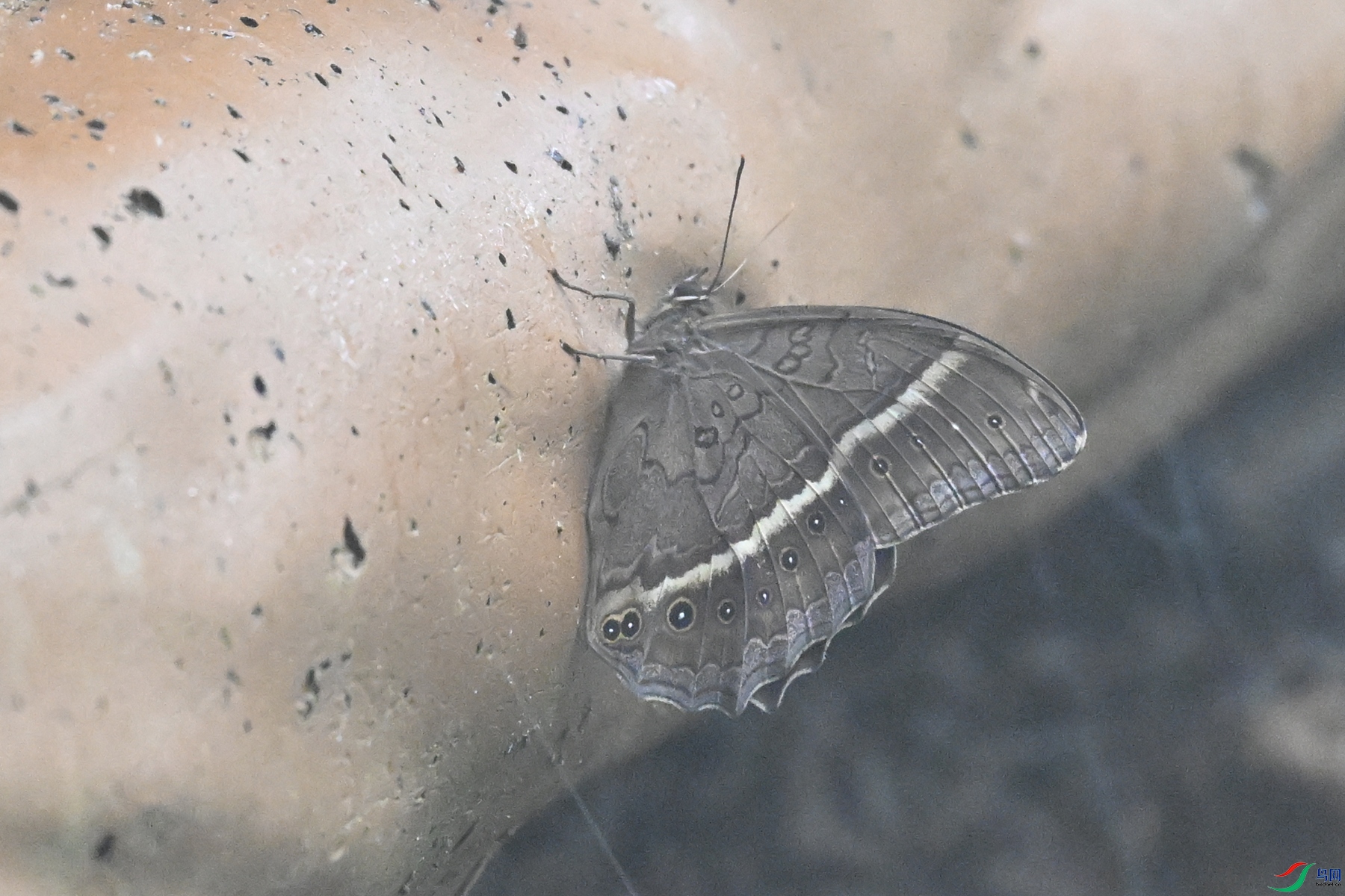 DSC_2080.JPG